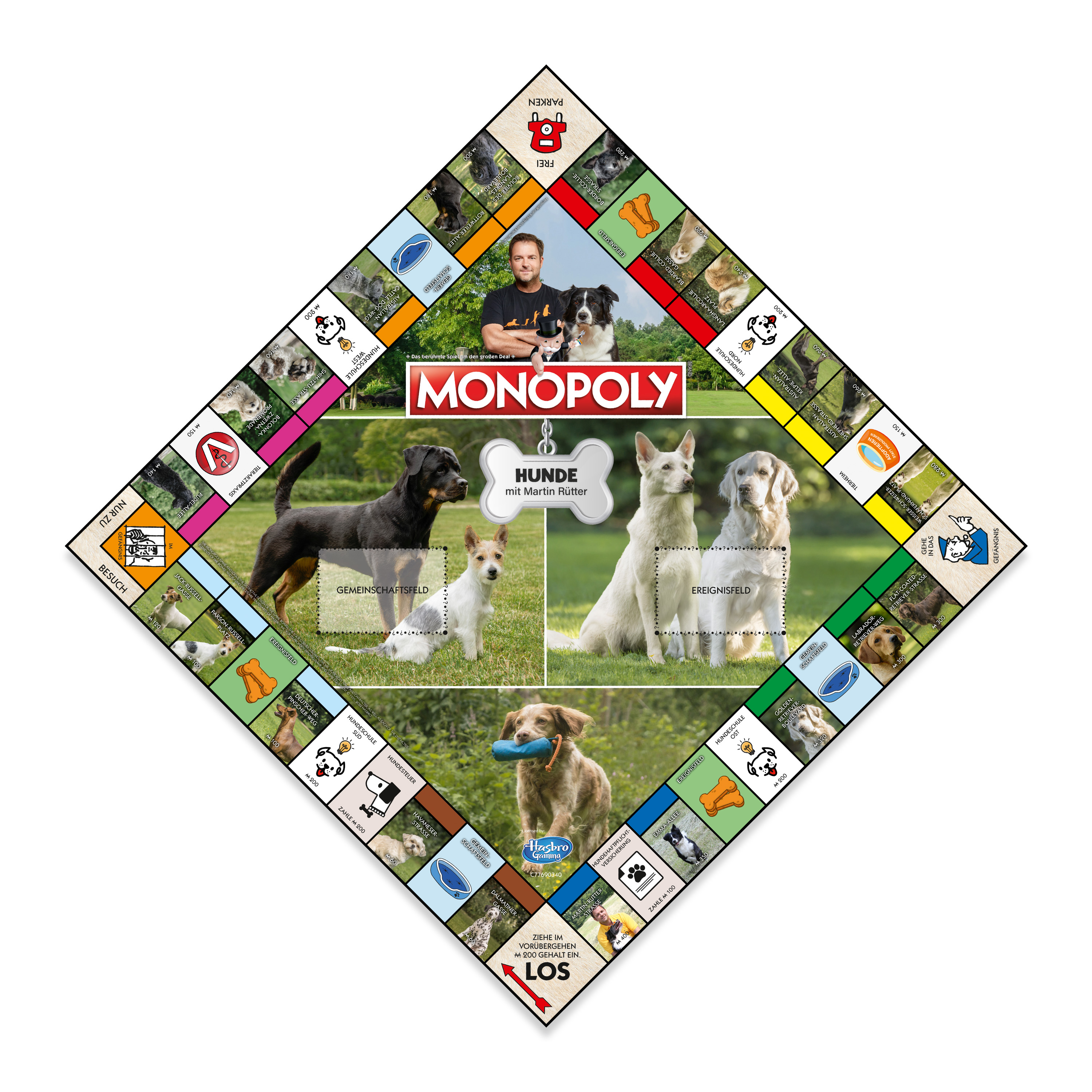 Monopoly-Brettspiel mit Hundethema. Das Spielbrett ist rautenförmig und zeigt Hundebilder.