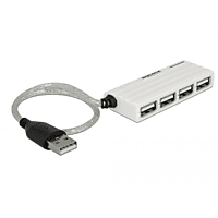 DELOCK 87445 Adapter, Weiß