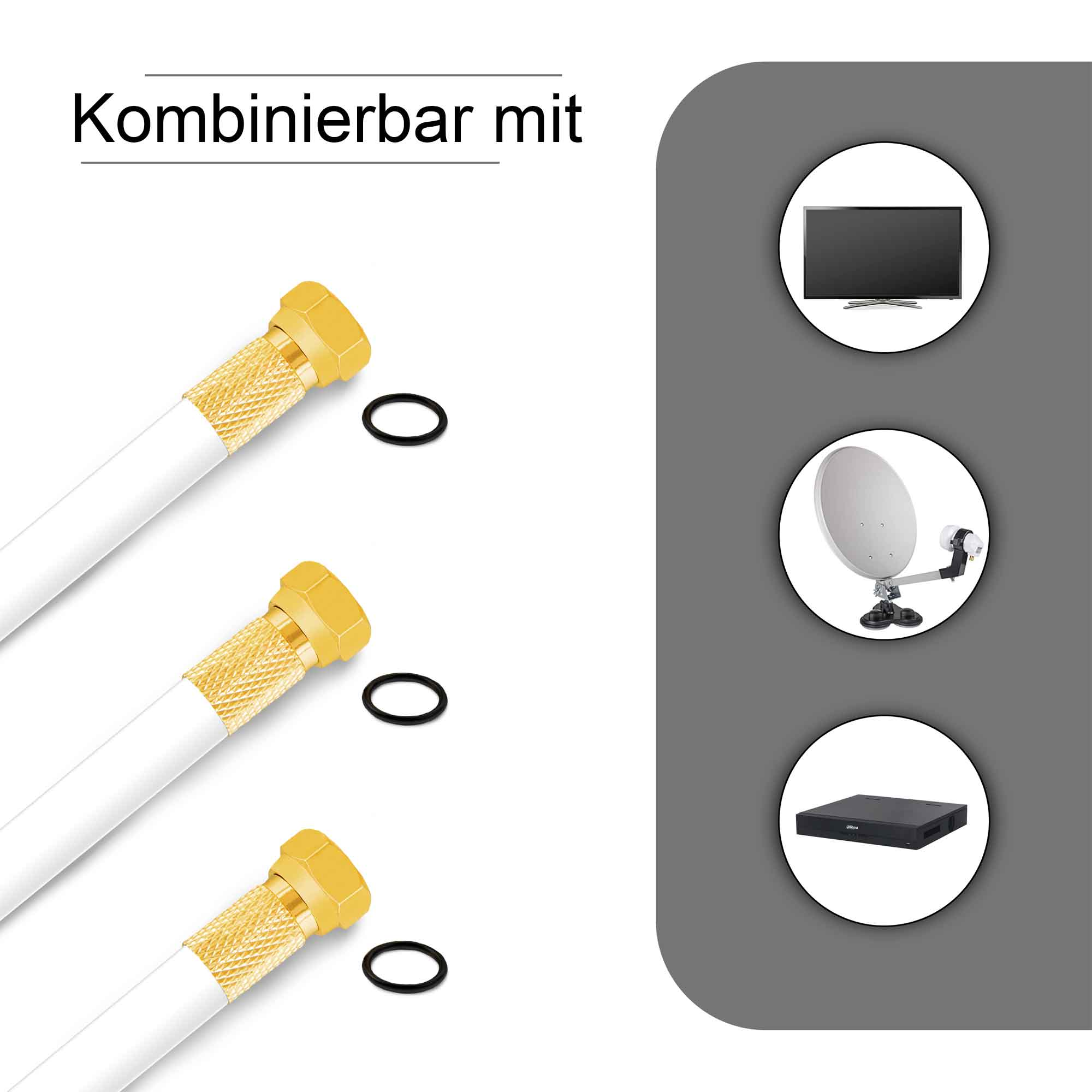 Drei Koaxialkabel-Anschlüsse mit Diagrammen kompatibler Geräte: Fernseher, Satellitenschüssel und DVR.
