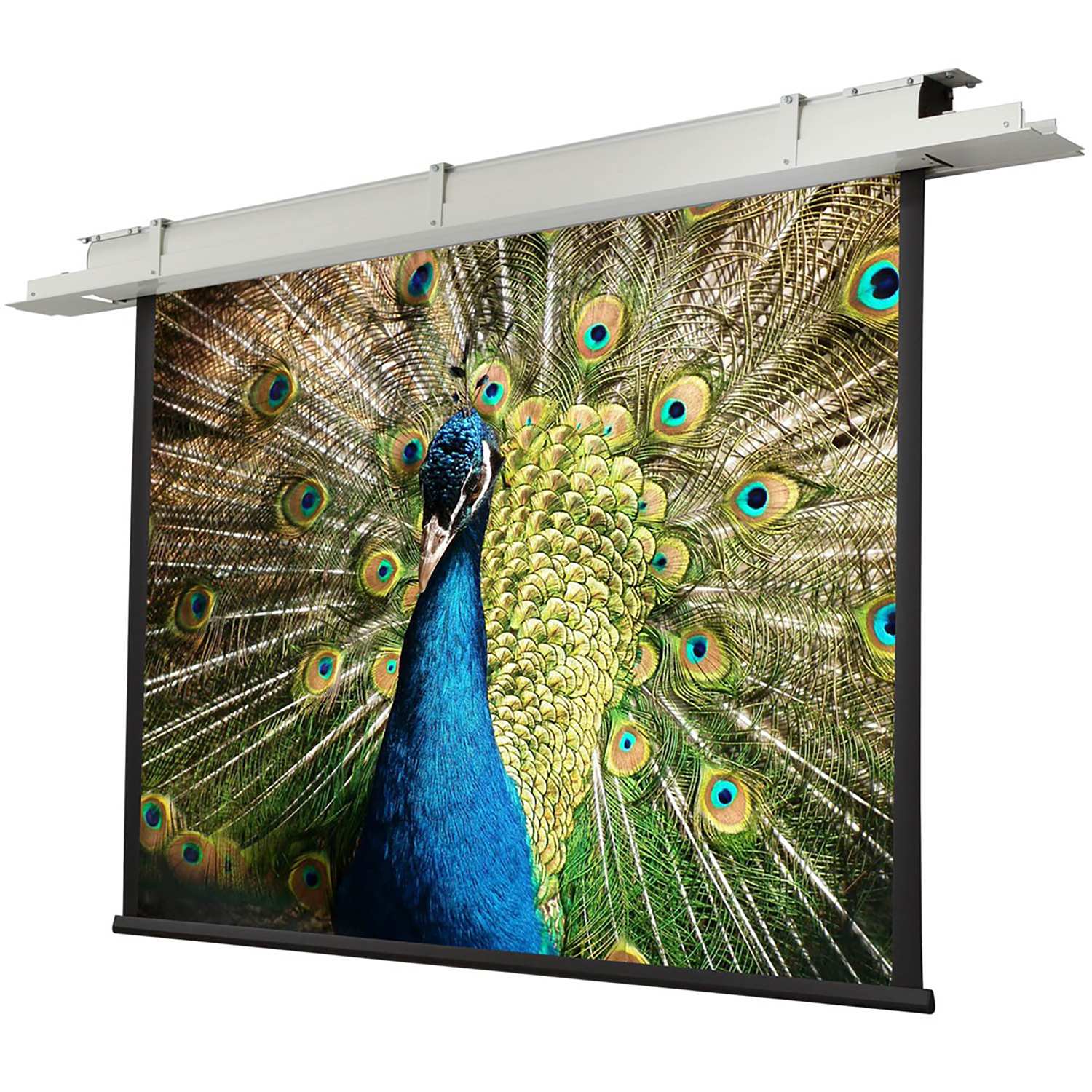 Pantalla para proyector - CELEXON techo empotrable celexon Expert 300 x 225 cm