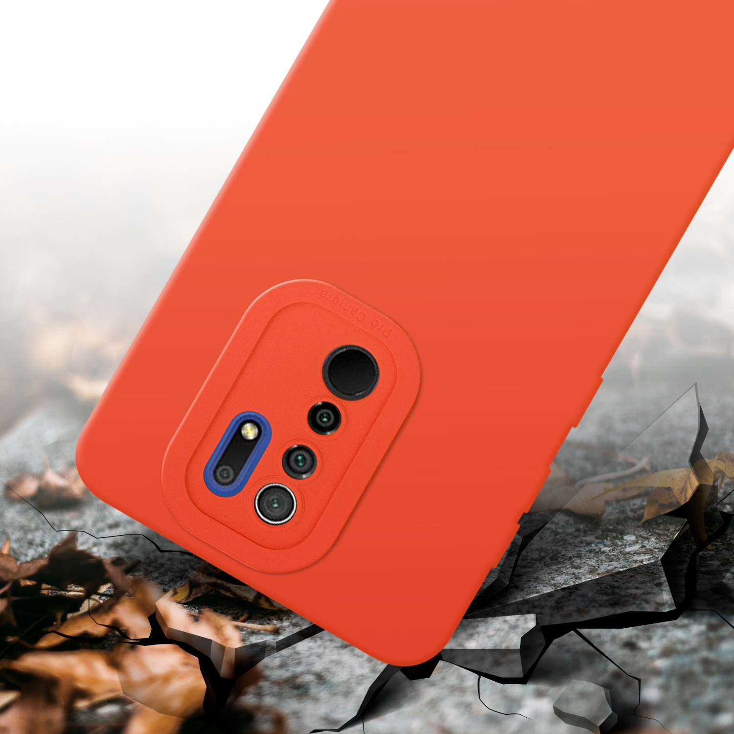 Coque orange sur surface fissurée. Feuilles en arrière-plan.