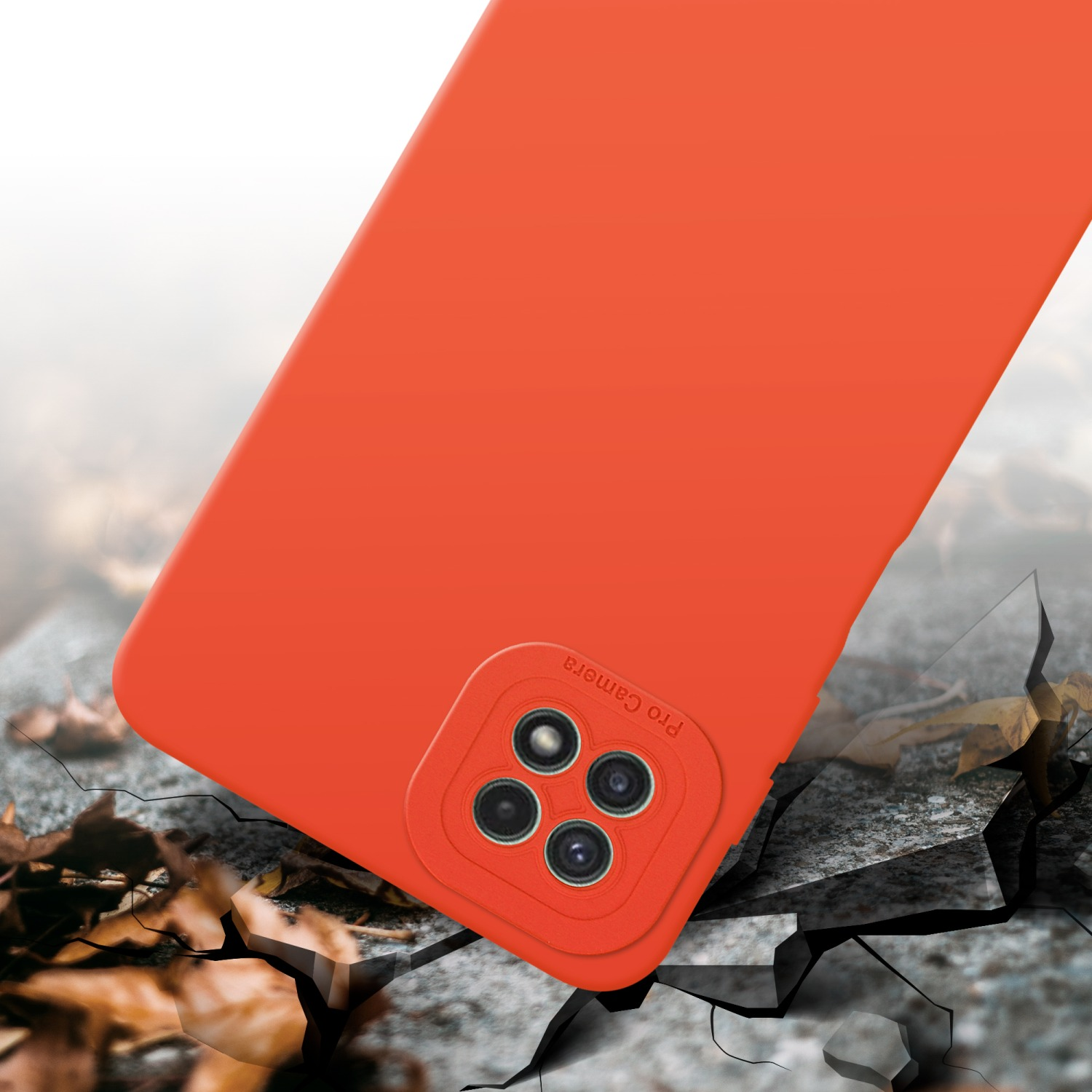 Coque orange sur surface fissurée. Feuilles en arrière-plan.