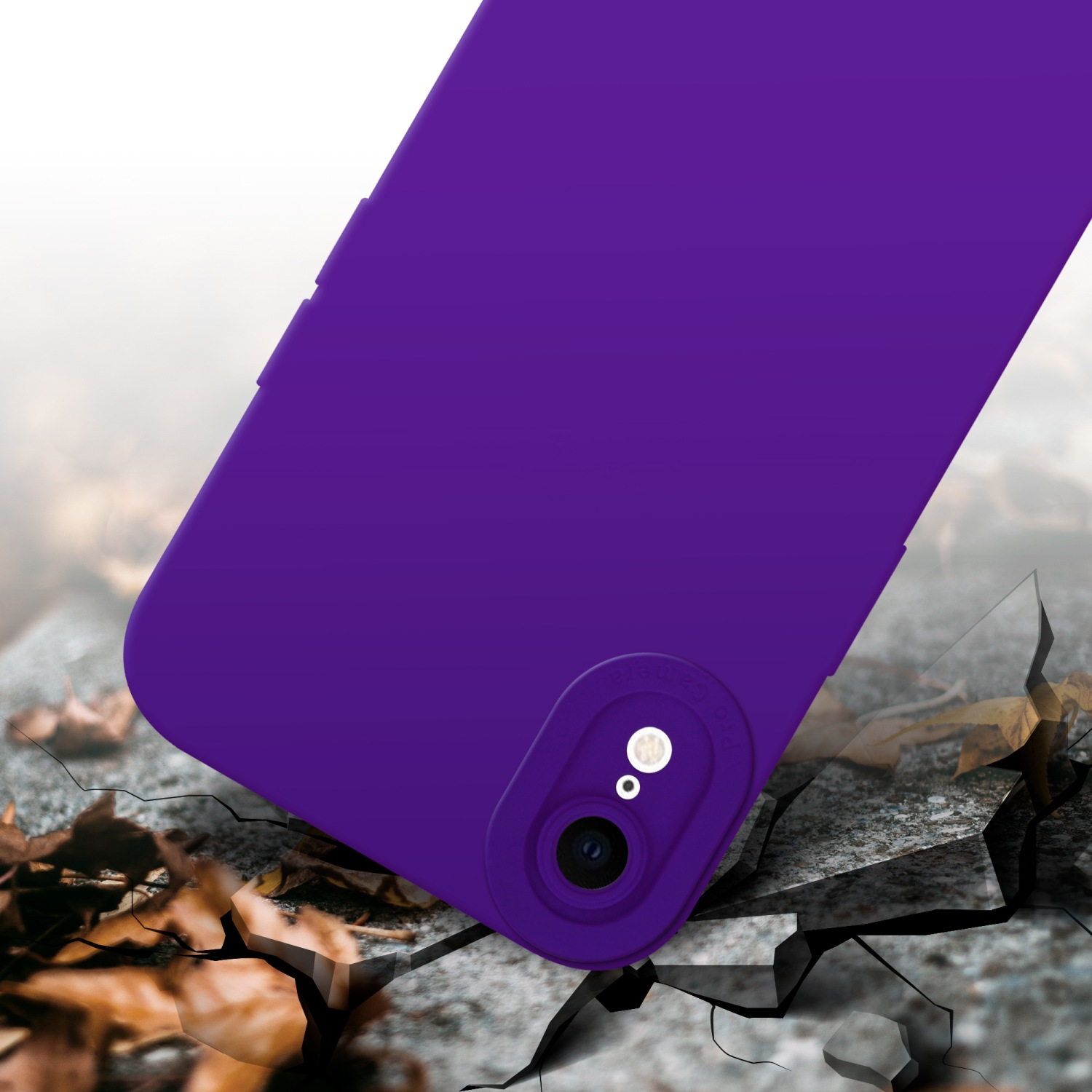 Custodia viola su superficie crepata. Foglie intorno.