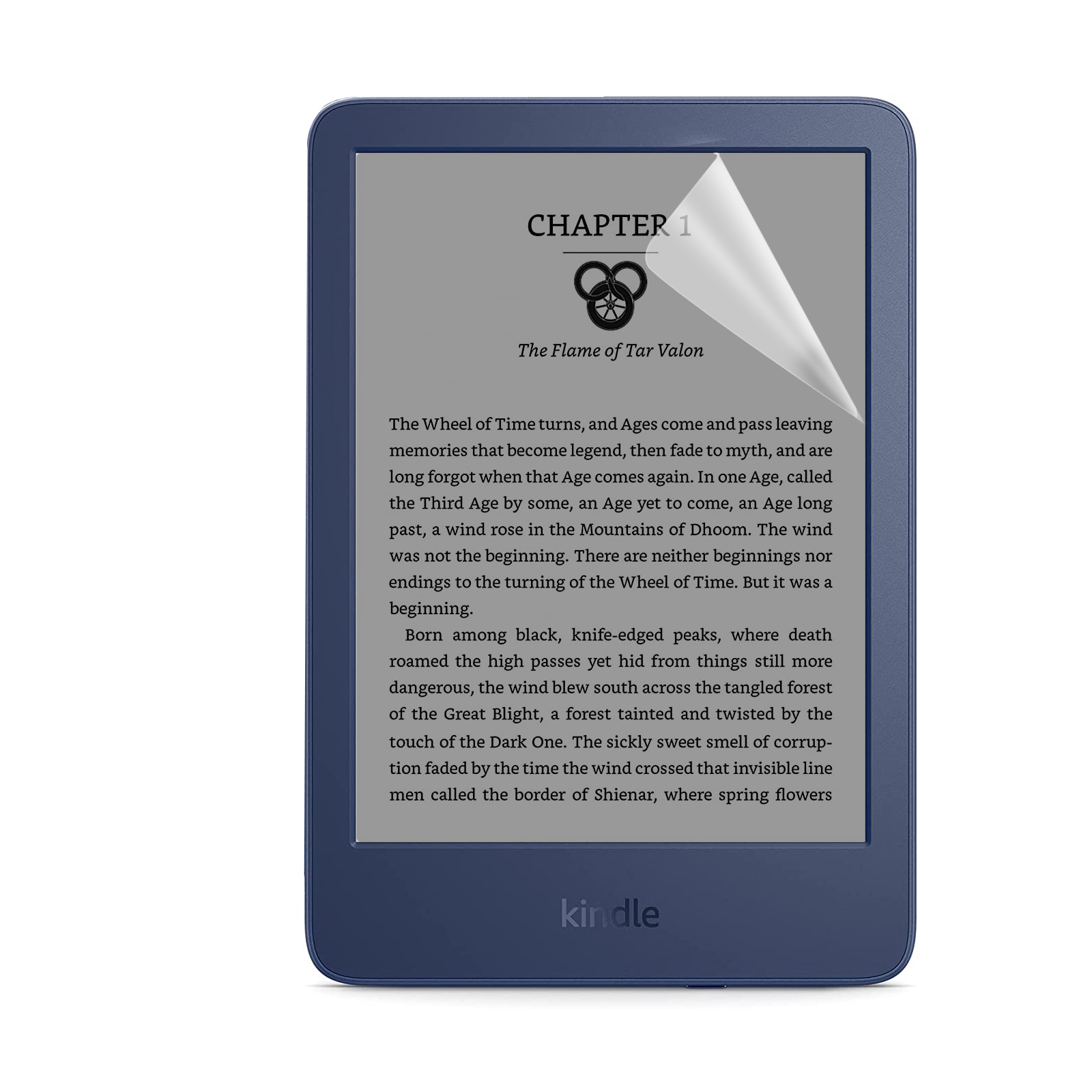 Kindle E-Reader, der Text aus einem Buch anzeigt. Es ist blau und der Text vor grauem Hintergrund.