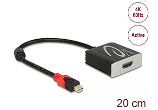 DELOCK 62735 Adapter, Schwarz