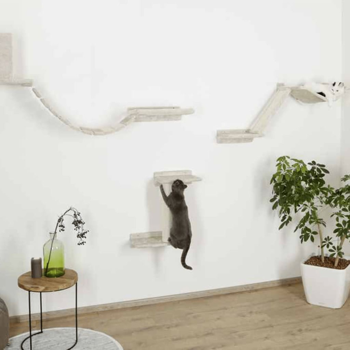 Katze klettert an einer Wand-Katzenleiter. Andere Katzen sind auf den oberen Regalen. Eine Pflanze und ein Tisch stehen auf dem Boden.