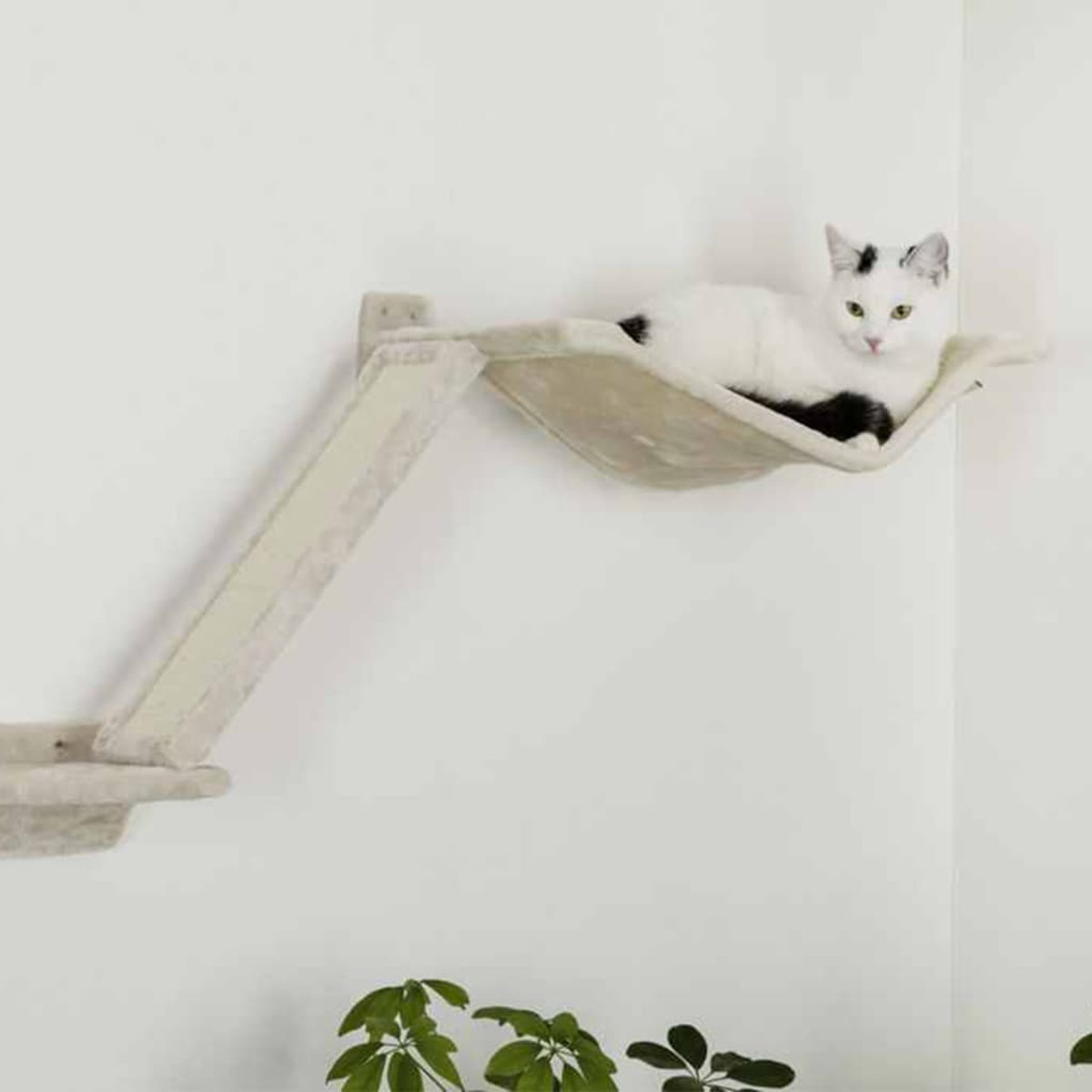 Weiße Katze auf einer Wand-Katzenhängematte. Eine Rampe führt zur Hängematte. Grüne Pflanzen unten.