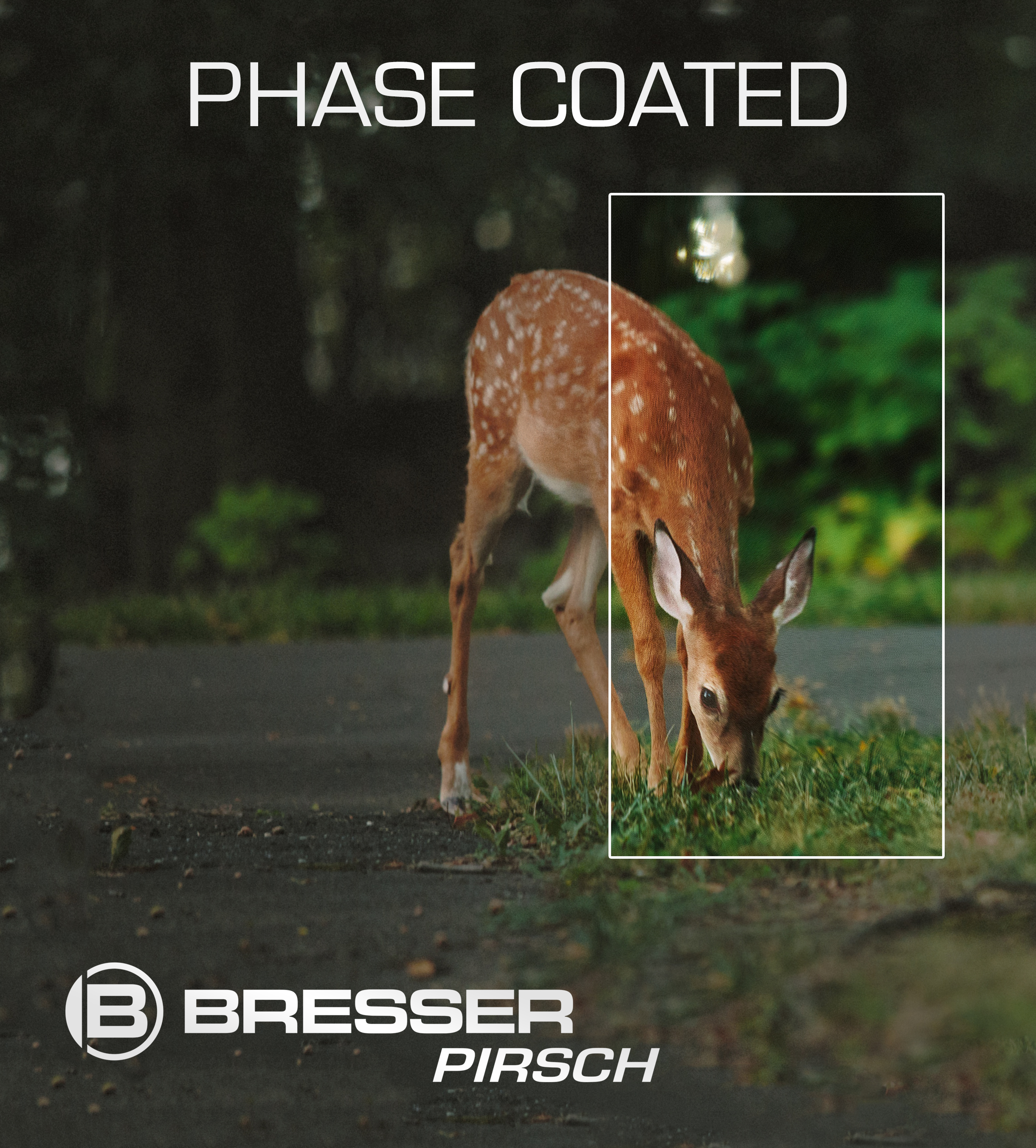BRESSER Pirsch 8x56 mit Phasenvergütung Fernglas mm, 8, 56