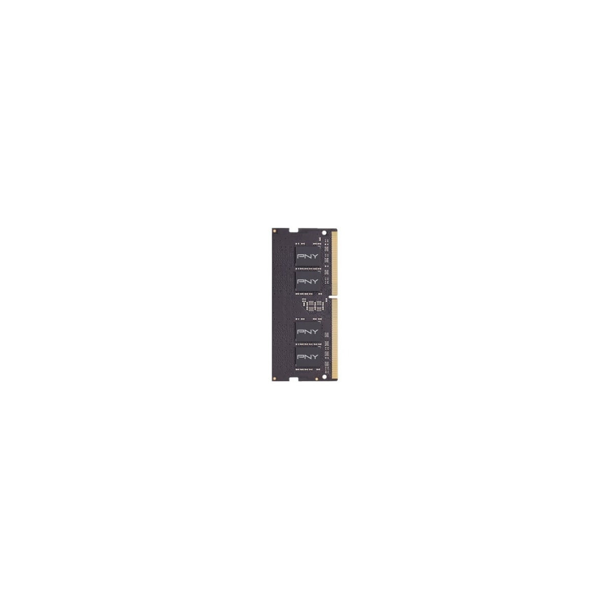Modulo RAM PNY DDR4, PCB nero, su sfondo bianco.