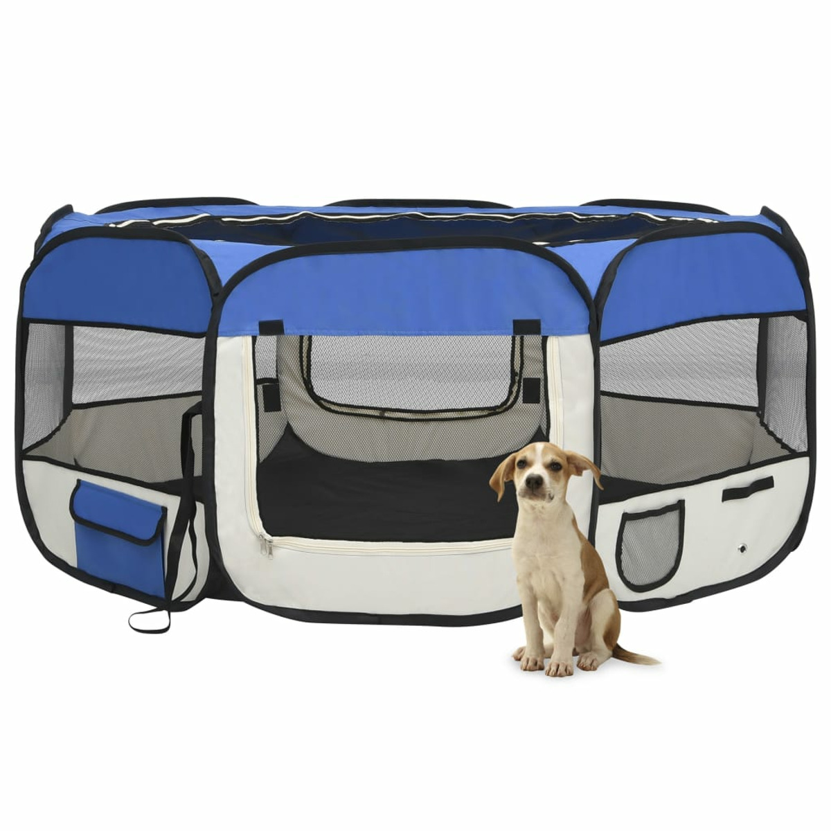 Ein Hundeauslauf in Blau und Weiß. Ein kleiner Hund sitzt davor.