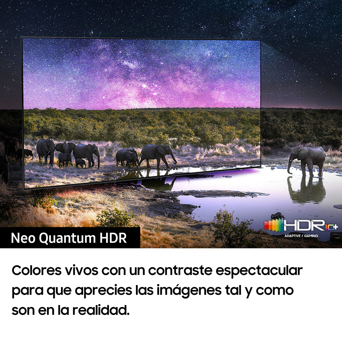 Egy TV képernyő elefántok jelenetét mutatja egy itatónál. Szöveg: Neo Quantum HDR, HDR10+.