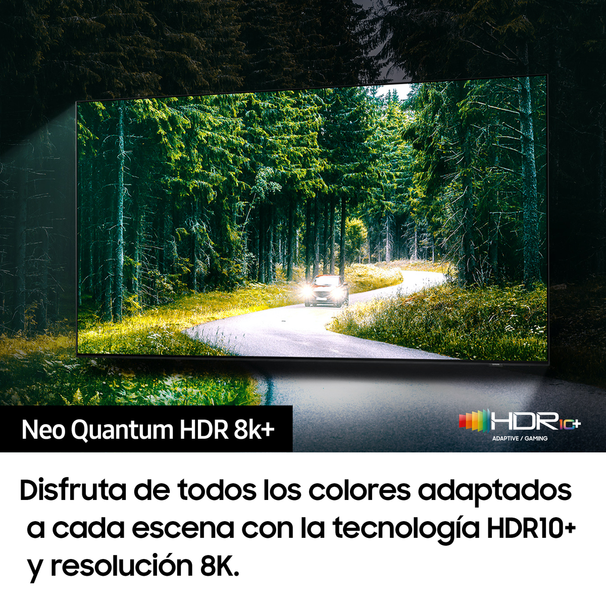 TV muestra una escena de carretera con un coche, rodeado de árboles verdes.