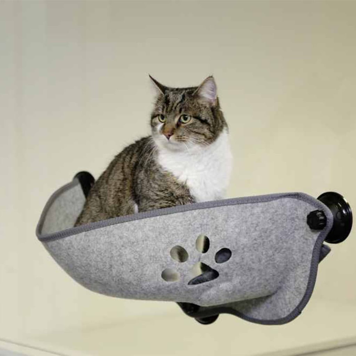 Getigerte Katze in einem grauen Hängekorb. Das Bett hat ein Pfotenabdruck-Design und ist an einer Wand montiert.
