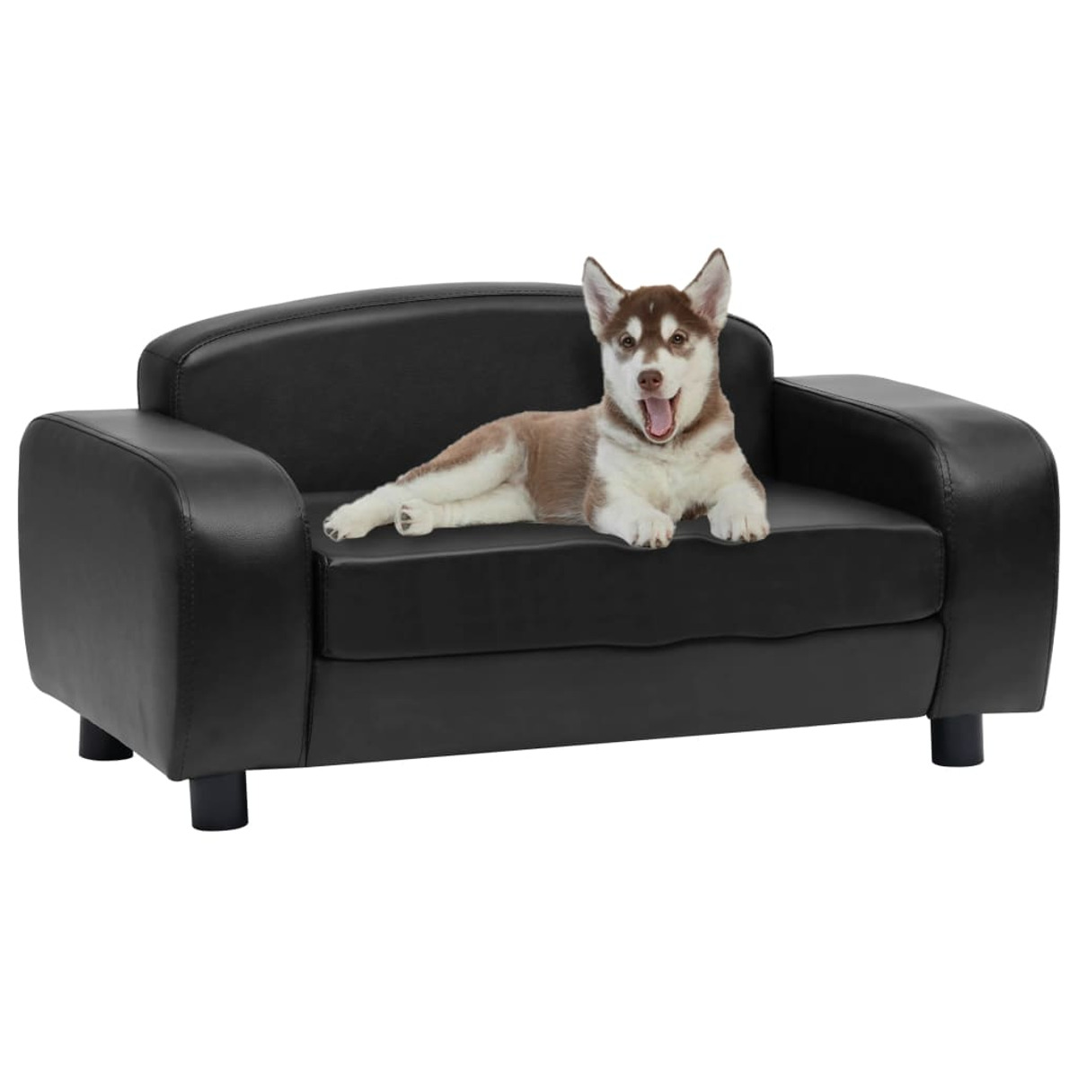 Ein Welpe auf einem schwarzen Sofa. Der Welpe ist braun und weiß und gähnt. Der Hintergrund ist weiß.