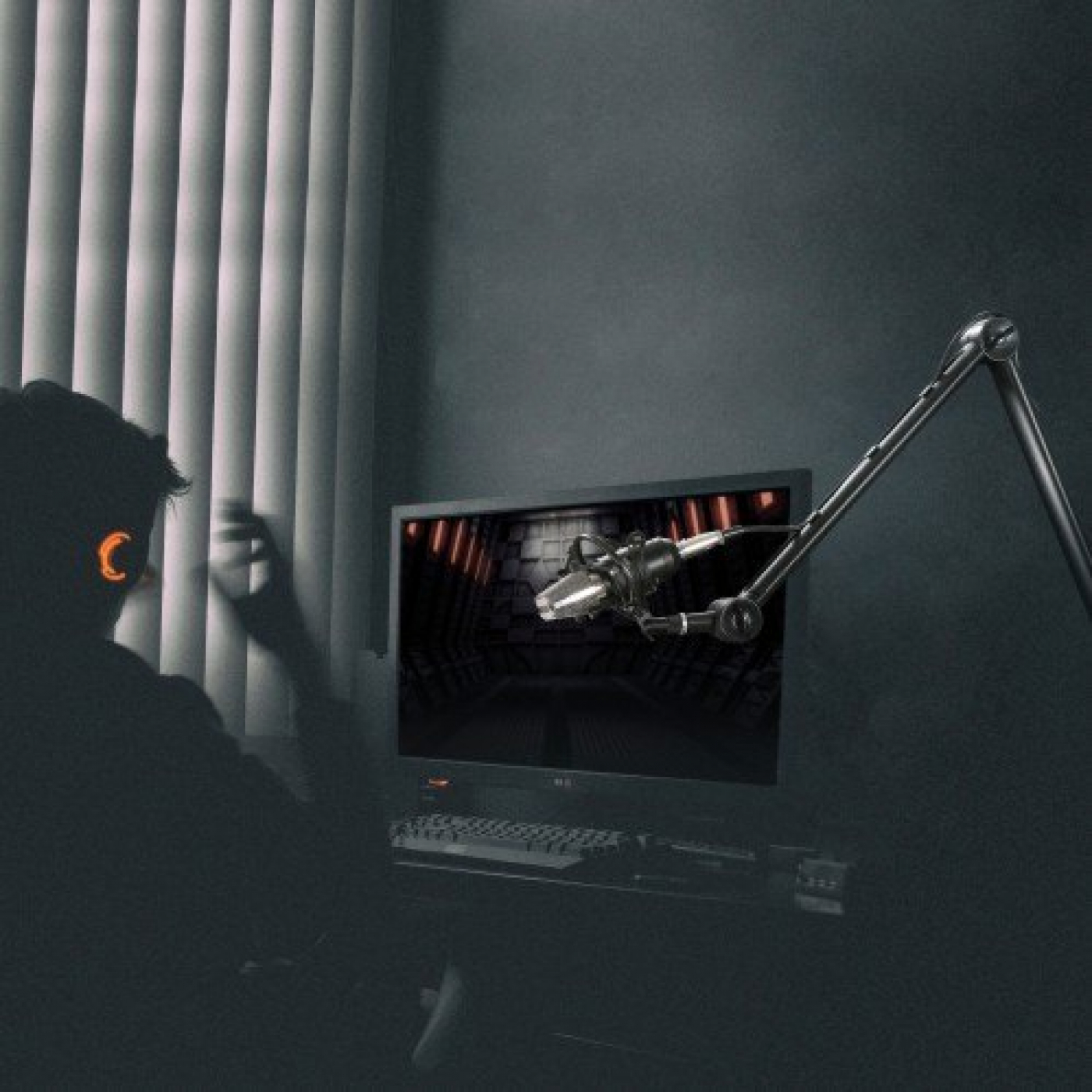Eine Person, die auf einen Computerbildschirm mit Mikrofon schaut.