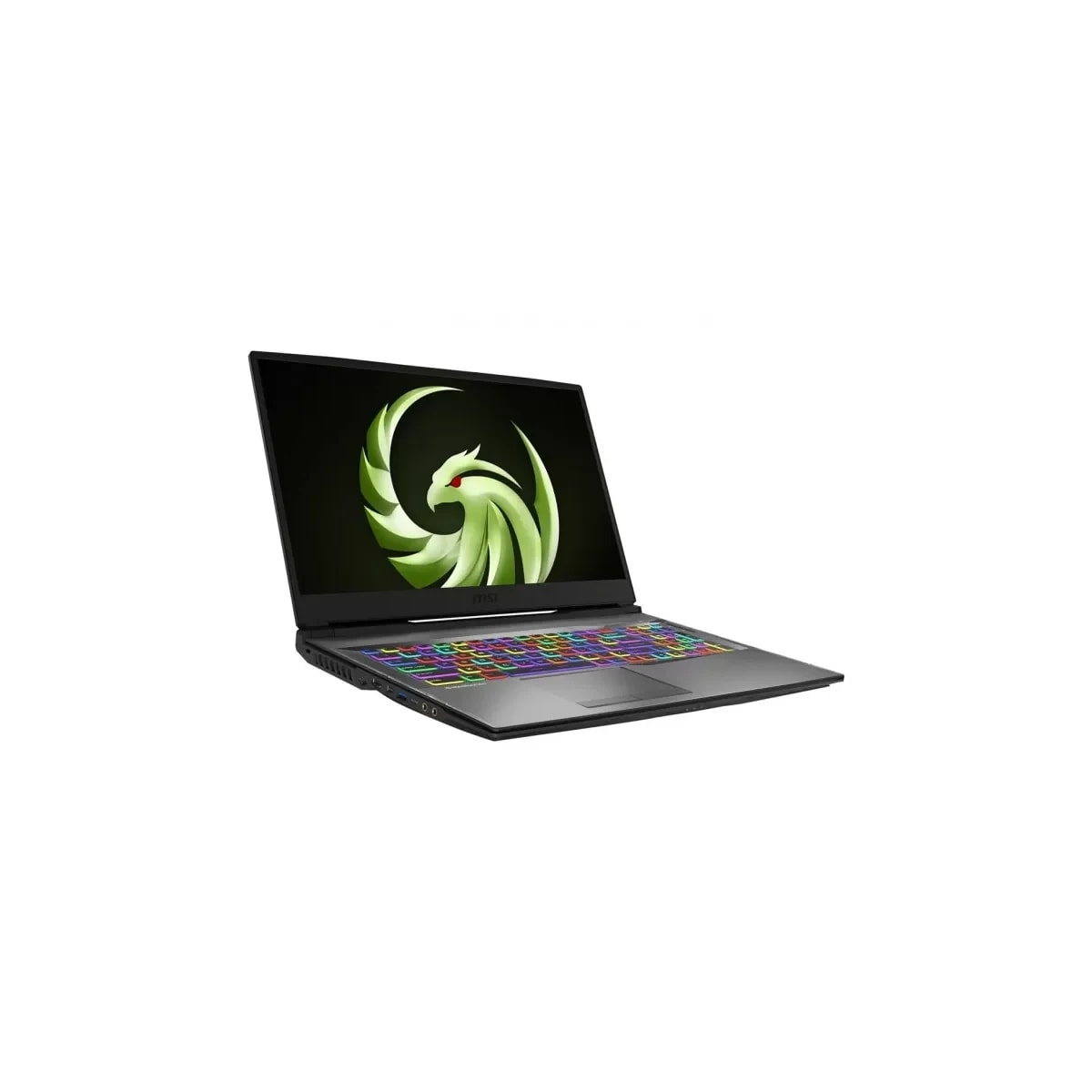 MSI 2705407436, Gaming Notebook mit SSD, RAM, 512 GB Prozessor, 16 Ryzen™ Display, 7 Zoll Schwarz GB AMD 17