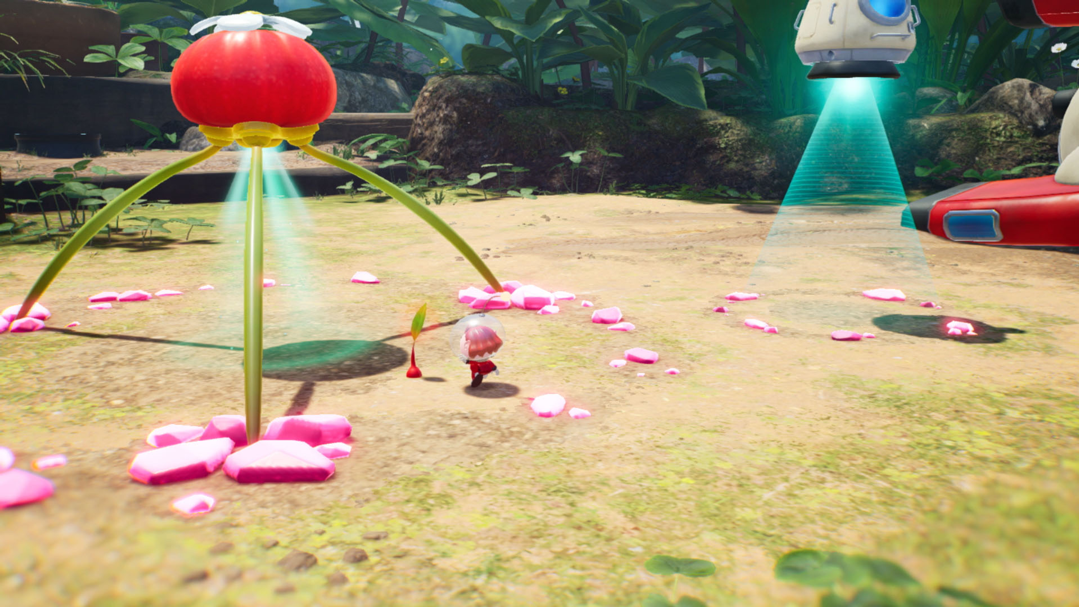 Flor roja con tallo verde y una pequeña figura con una nave espacial al fondo.