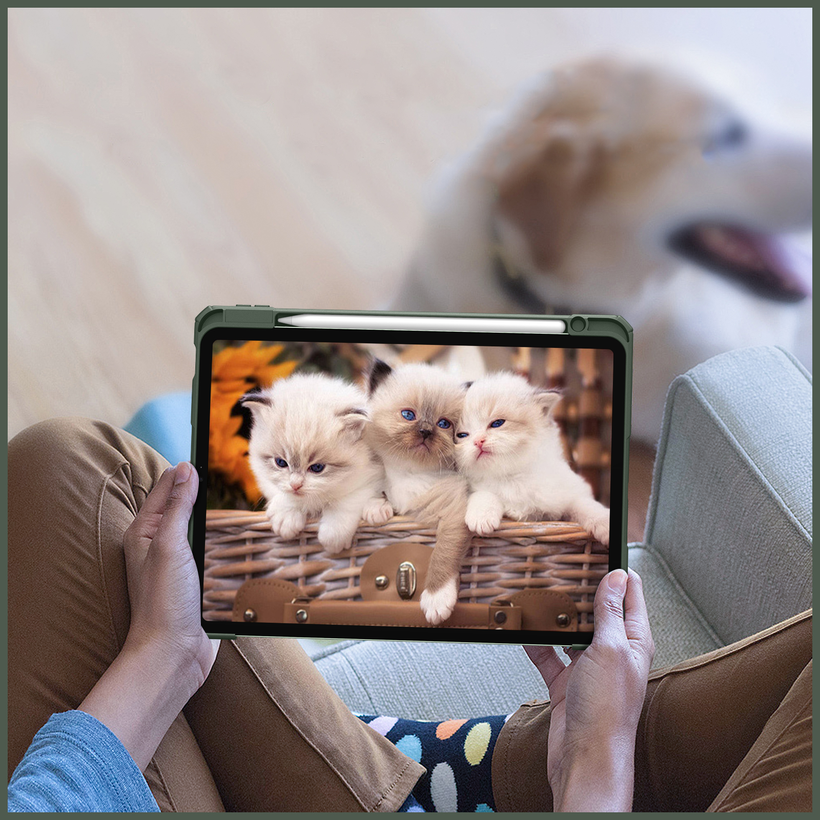 Person hält ein Tablet mit Kätzchen in einem Korb. Ein Hund ist im Hintergrund unscharf.