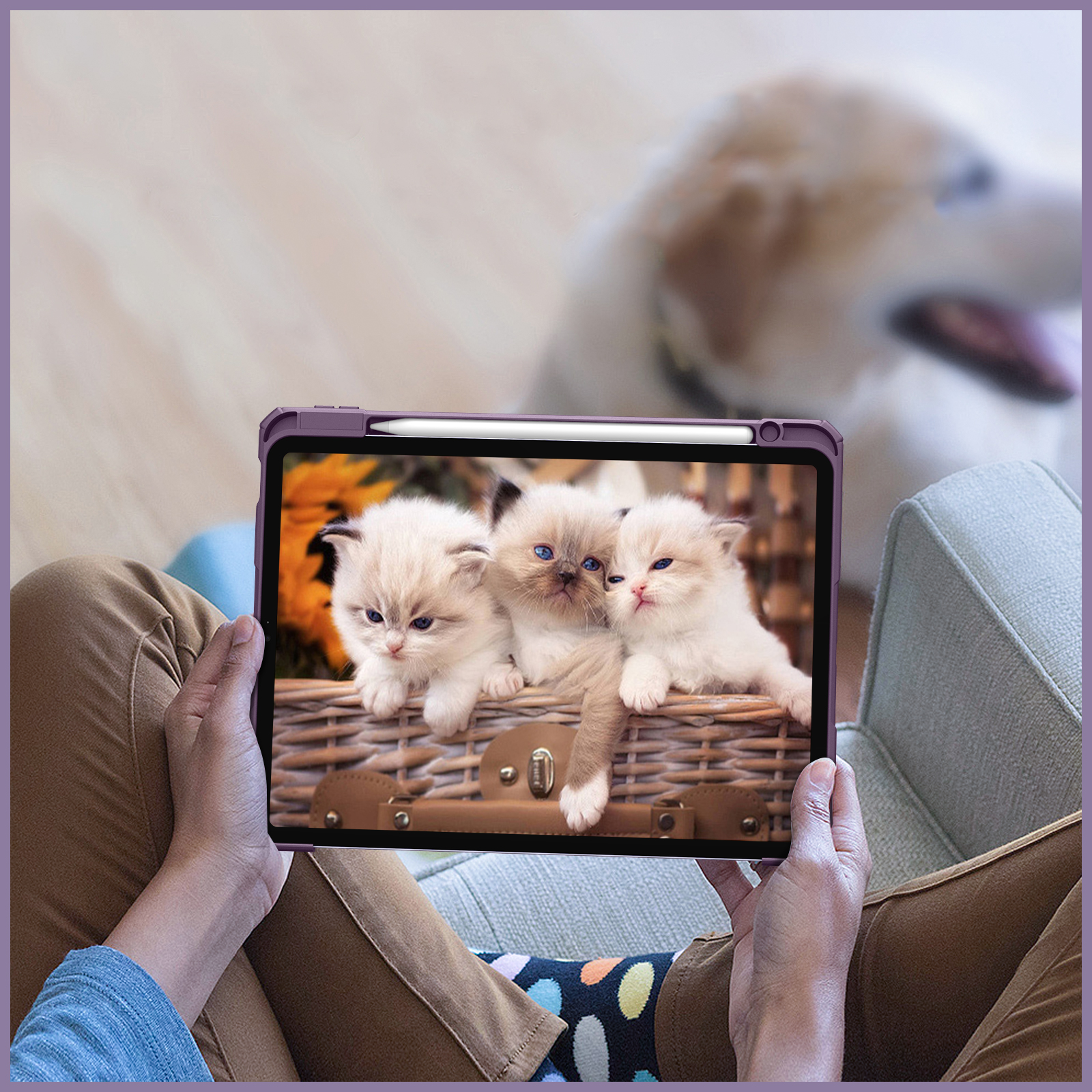 Ein Tablet, das Kätzchen in einem Korb zeigt, gehalten von einer Person.
