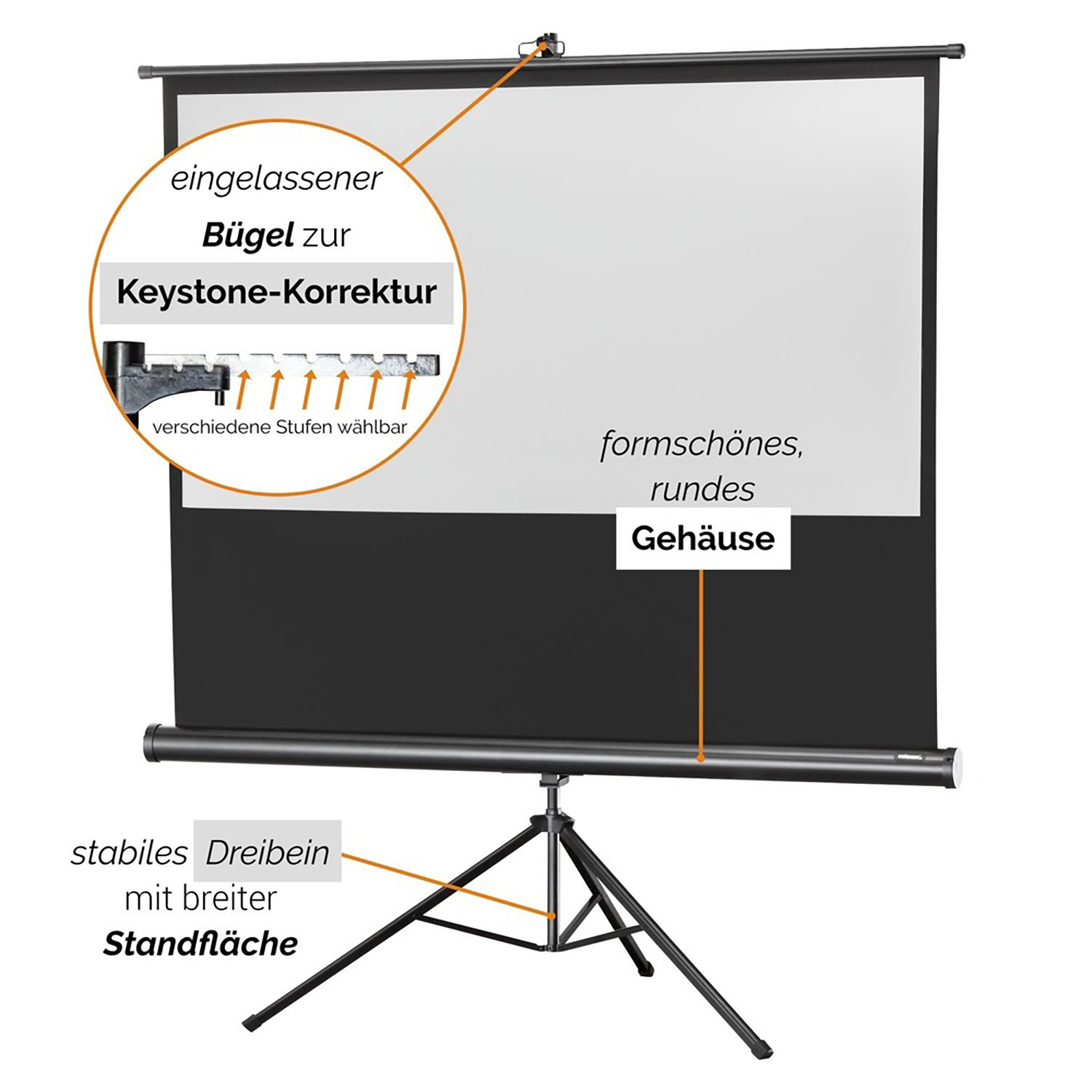 CELEXON Stativleinwand Economy