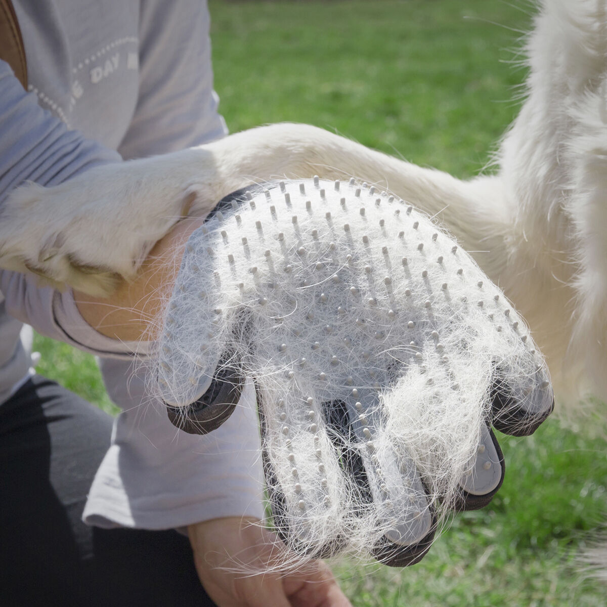 Una persona usa un guante cepillo en un perro blanco. El guante está lleno de pelo.