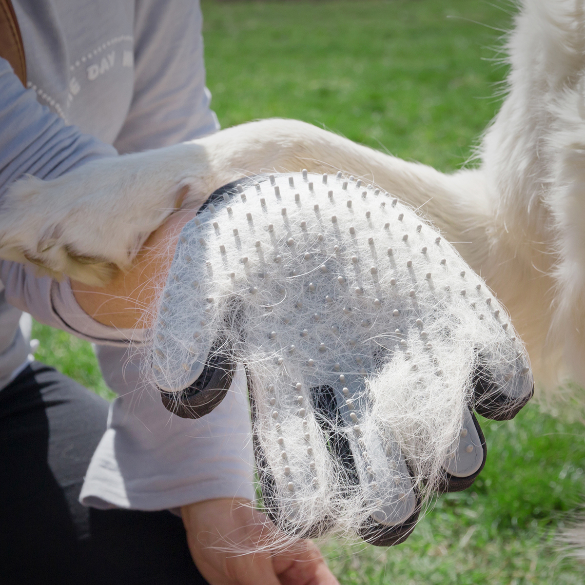 Manos de una persona usando un cepillo guante en un perro blanco. El guante tiene cerdas grises.