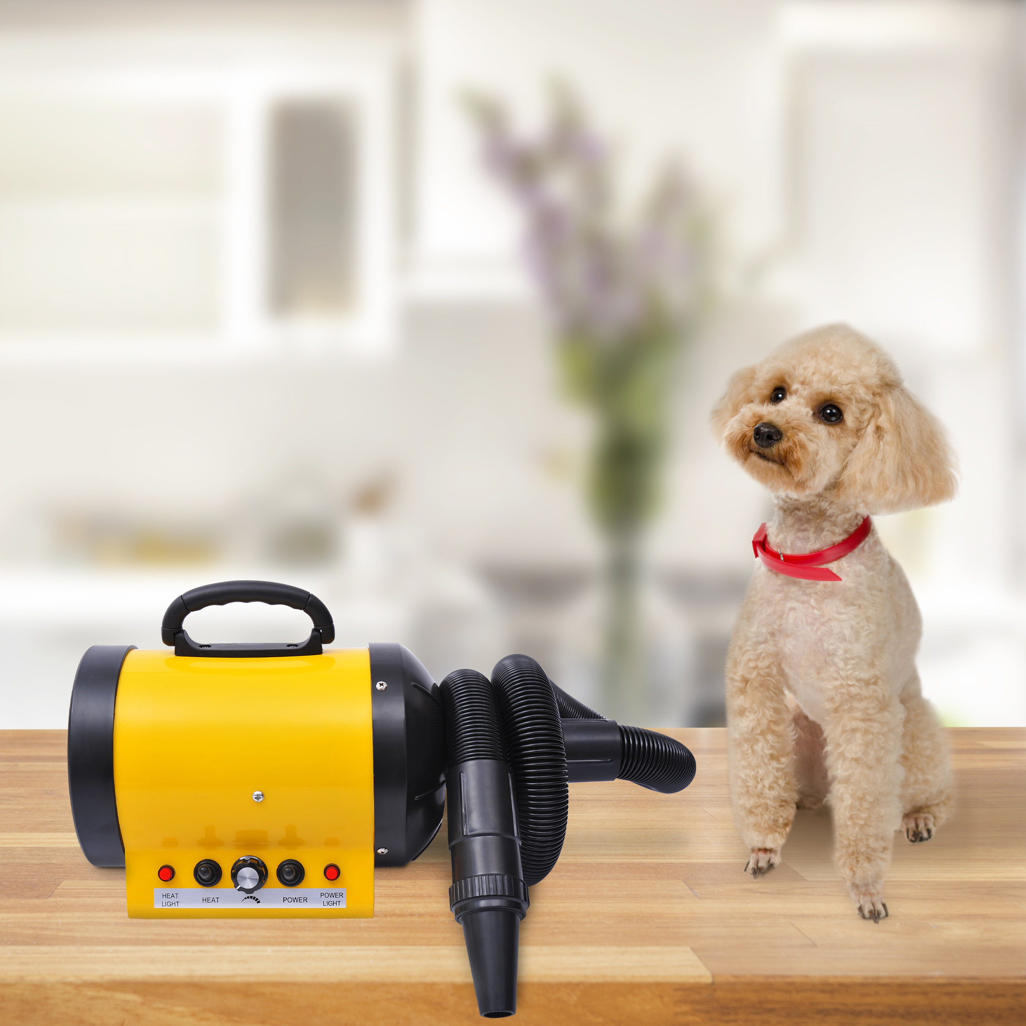 Eine kleine Hunde-Trockenmaschine mit einem nach oben schauenden Hund. Die Maschine ist gelb und schwarz.