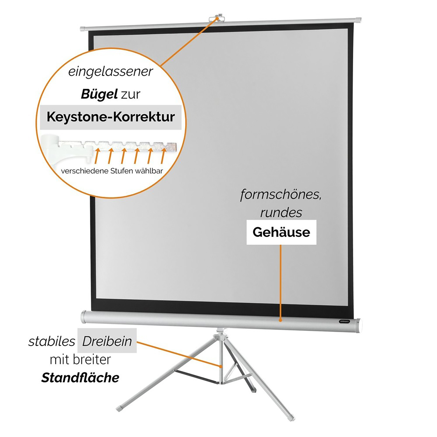 Stativleinwand Edition Economy CELEXON White