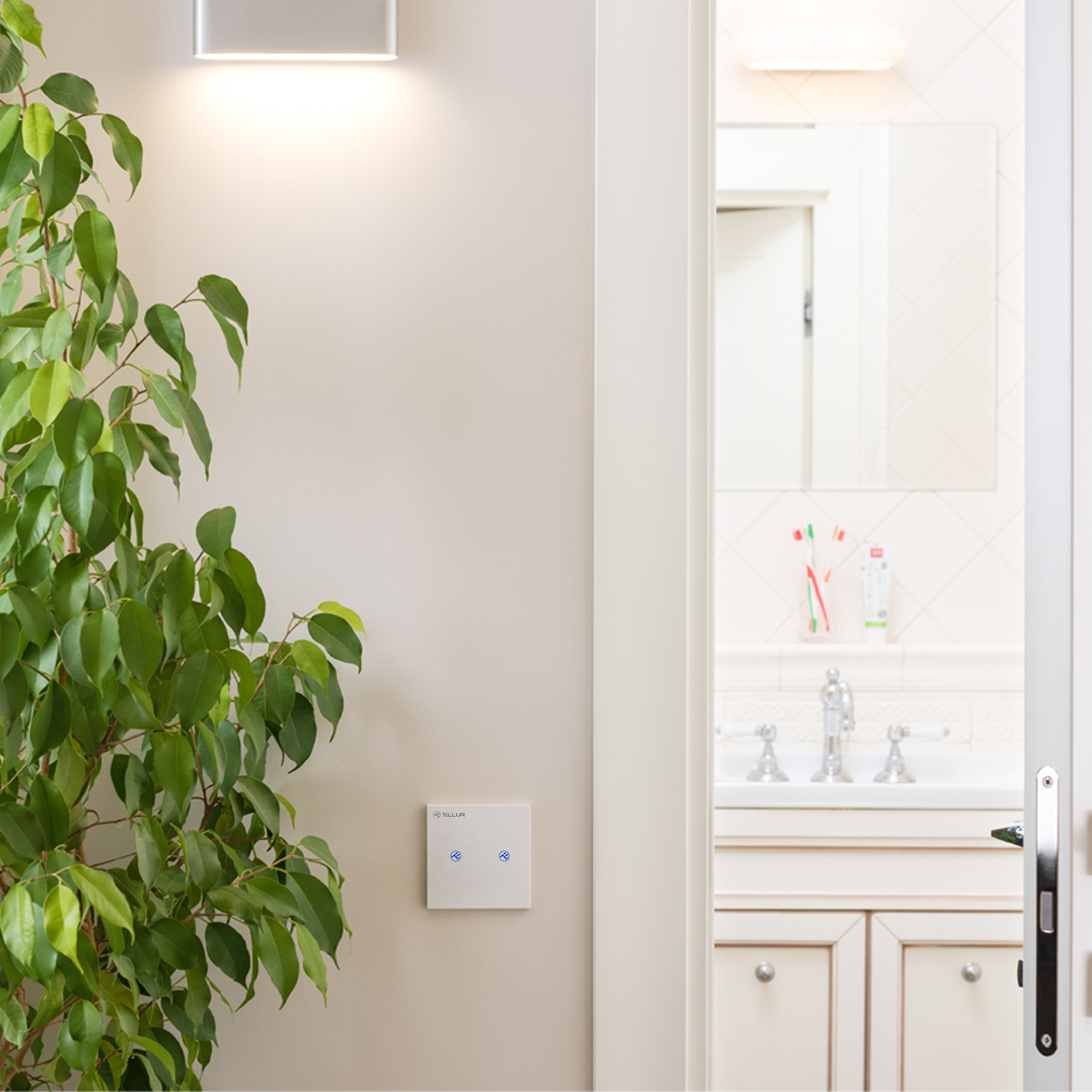 Escena interior. Una pared con una luz, una planta y un interruptor. El baño es visible en el fondo.