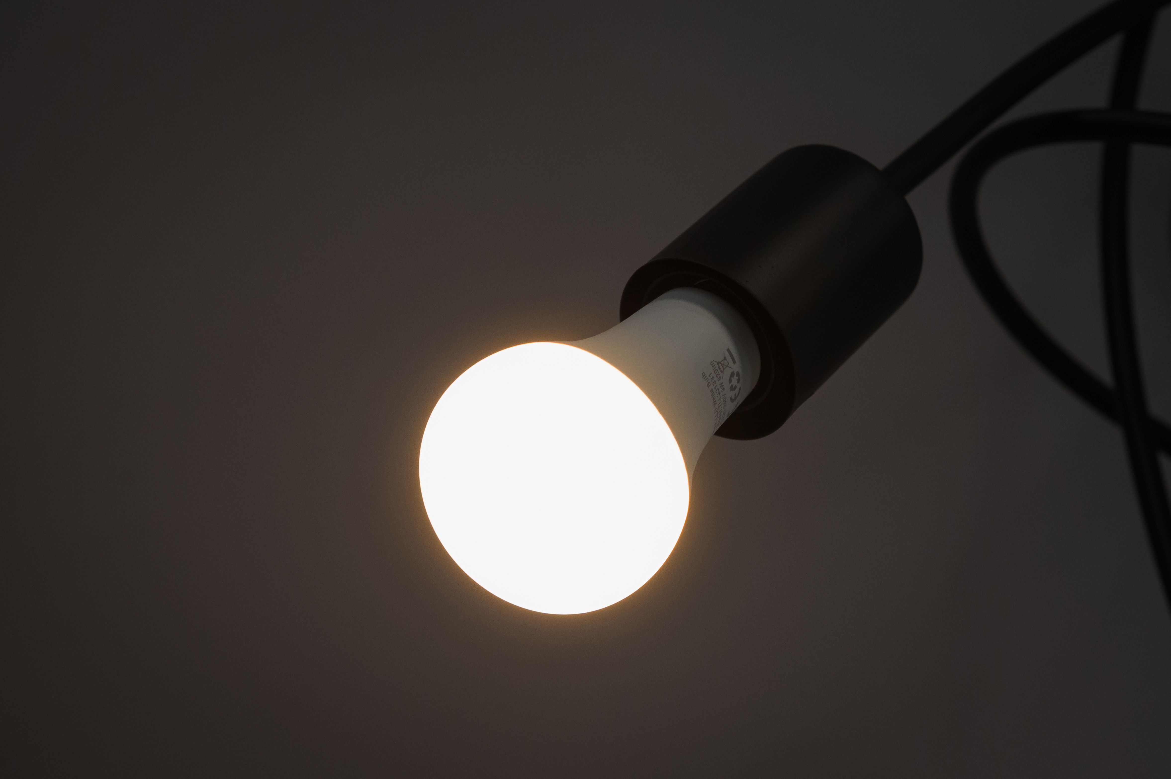 Zapalona żarówka na czarnym kablu.