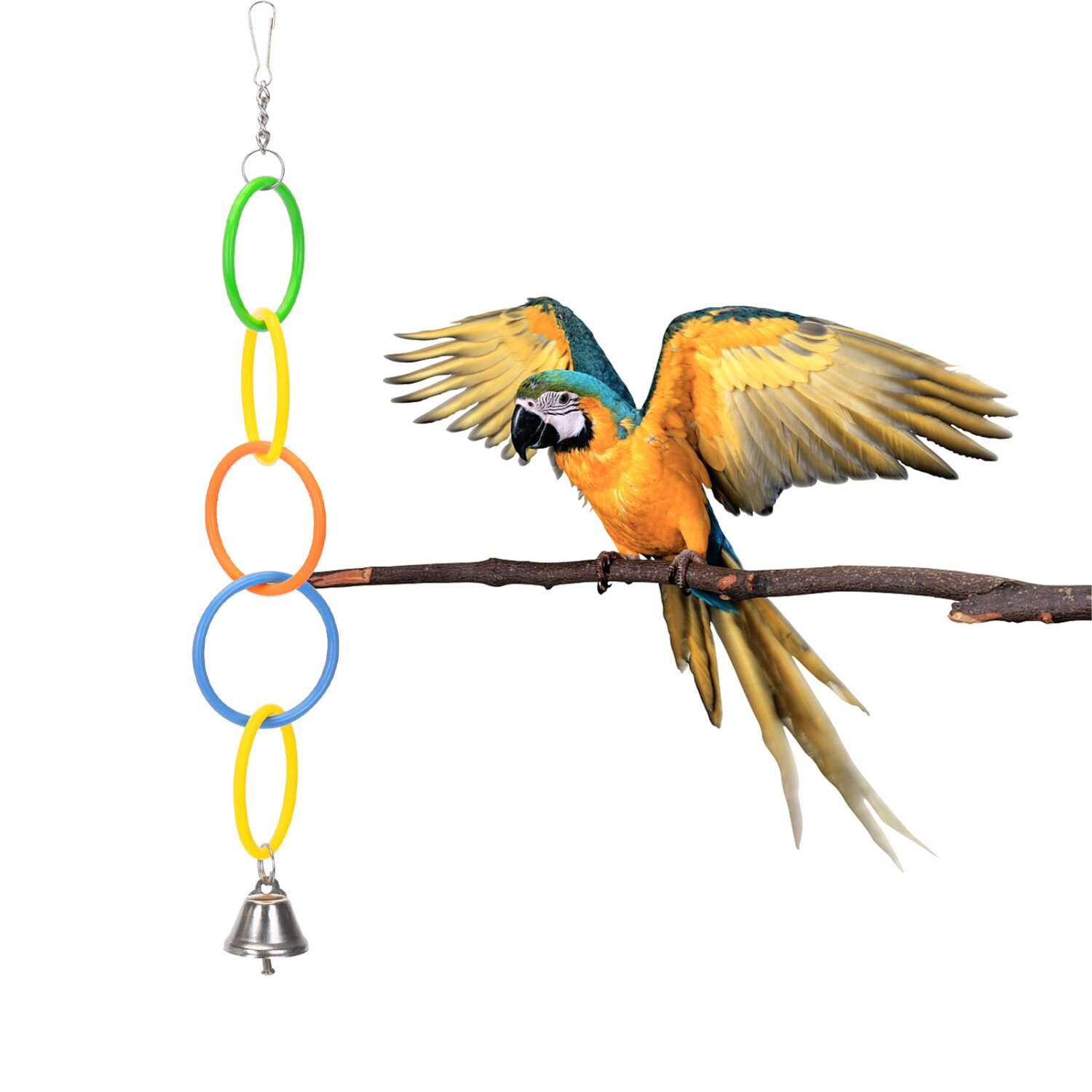 Un'ara colorata appollaiata su un ramo accanto a una catena con anelli e una campana, isolata su bianco.