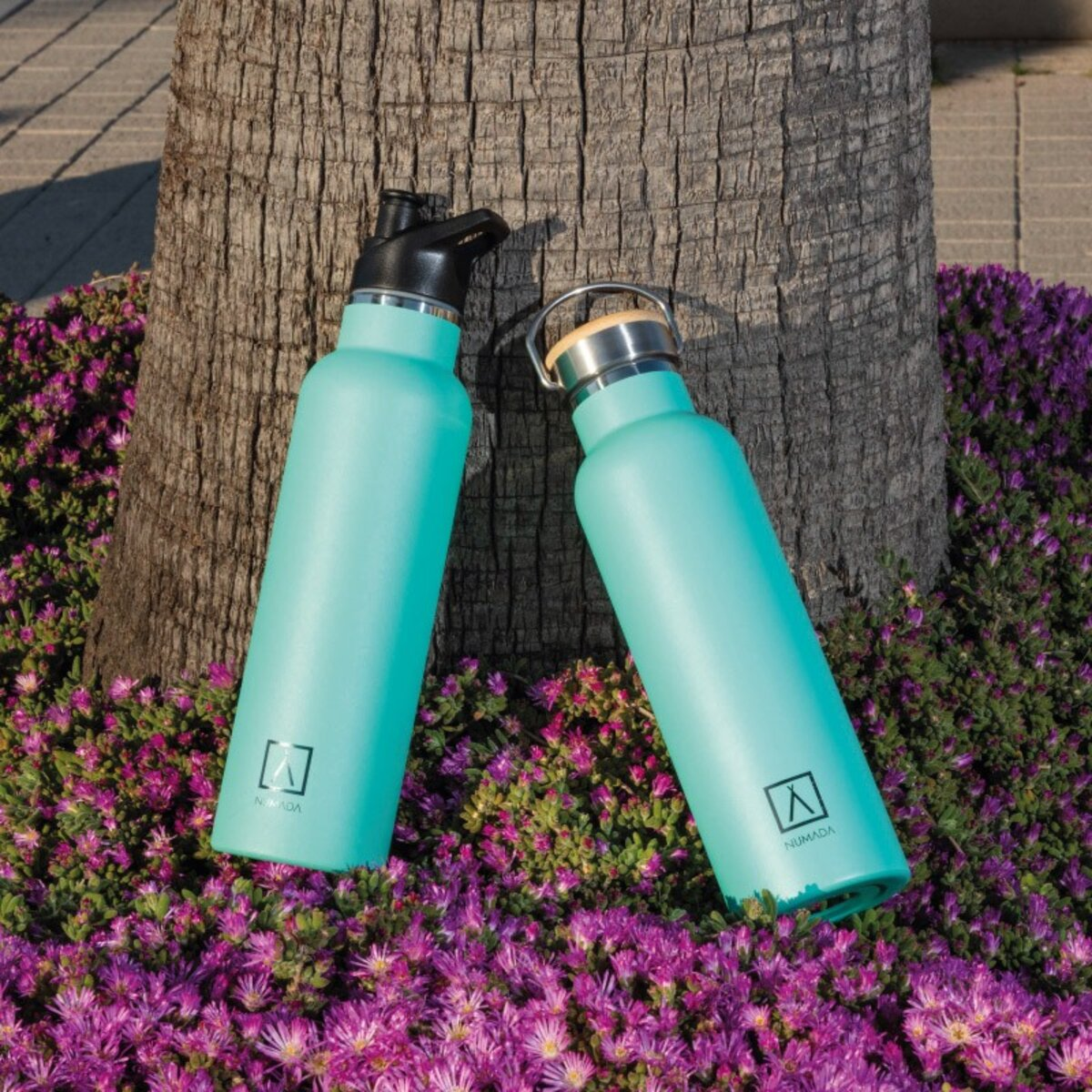 Dos botellas de agua turquesa junto a un tronco de árbol, rodeadas de flores moradas y suelo pavimentado.