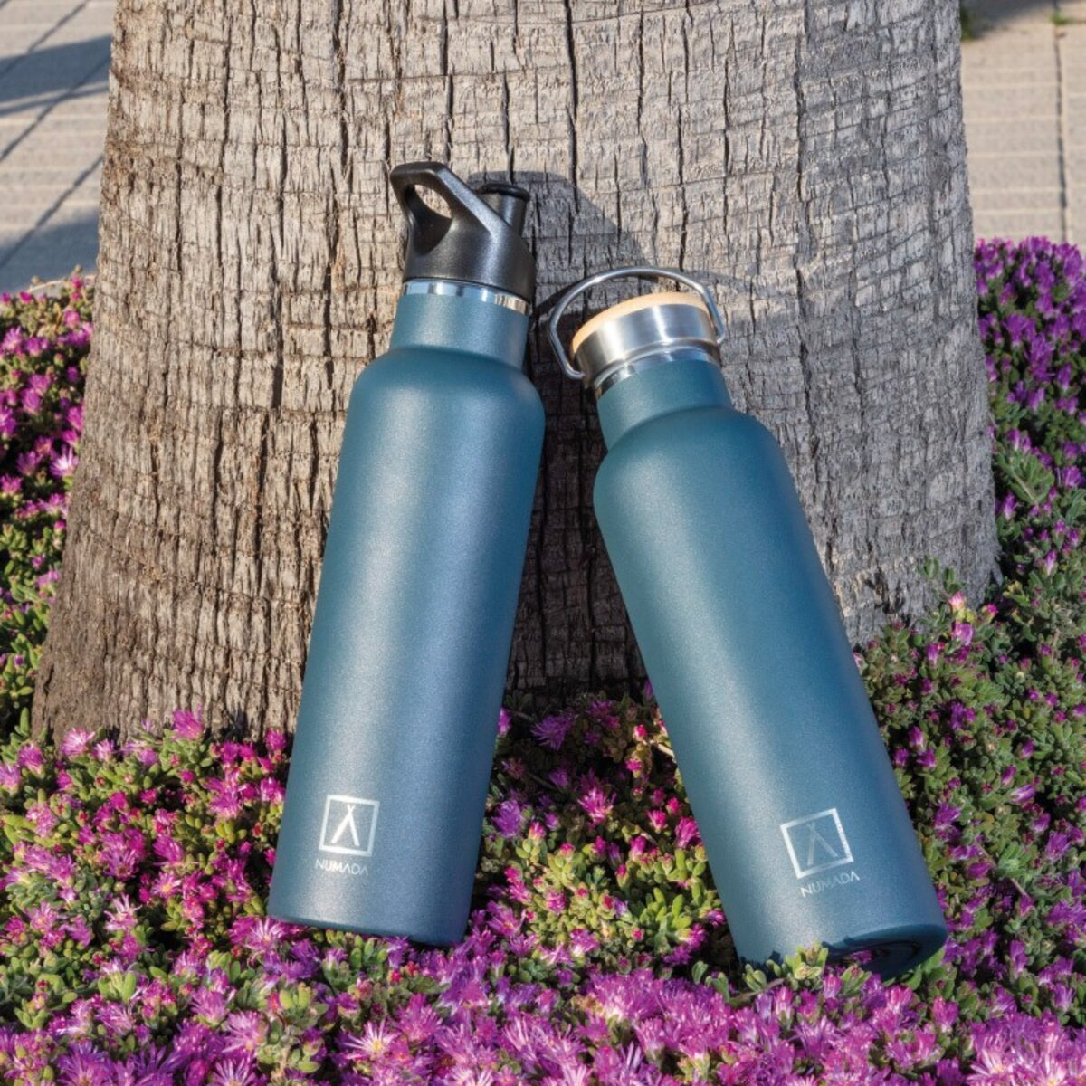 Dos botellas de agua azules contra un tronco de árbol, rodeadas de flores moradas.