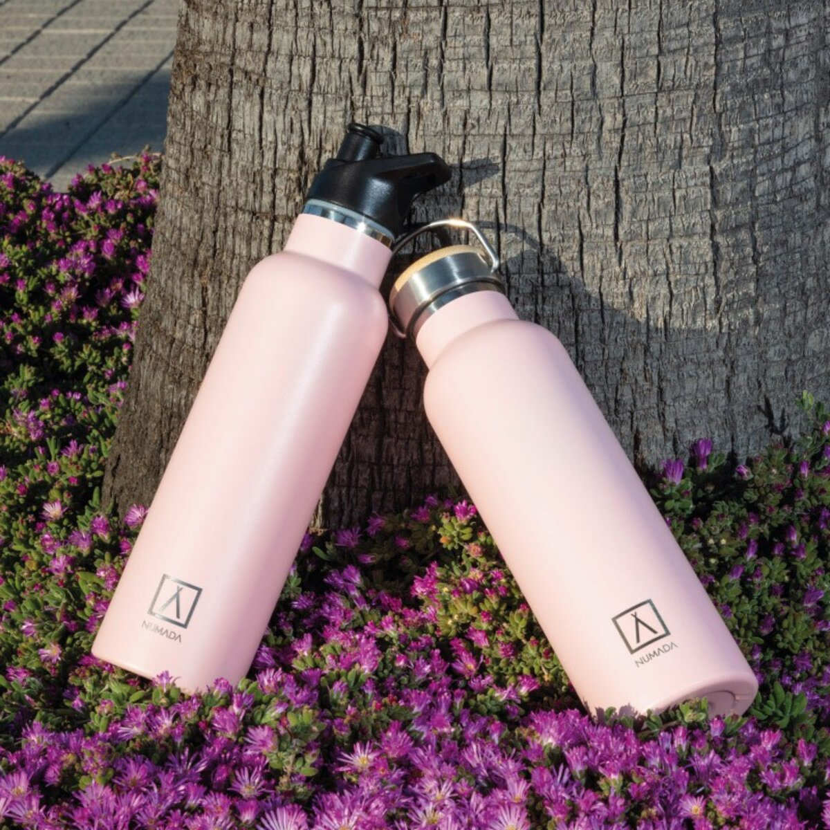 Dos botellas de agua rosas apoyadas en un árbol, rodeadas de flores moradas.