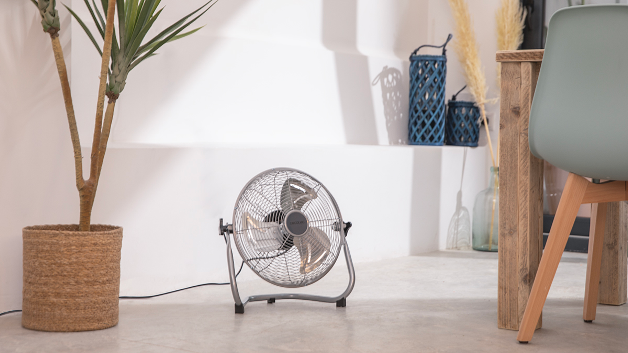Srebrny wentylator na podłodze, obok rośliny, w jasnym pomieszczeniu.