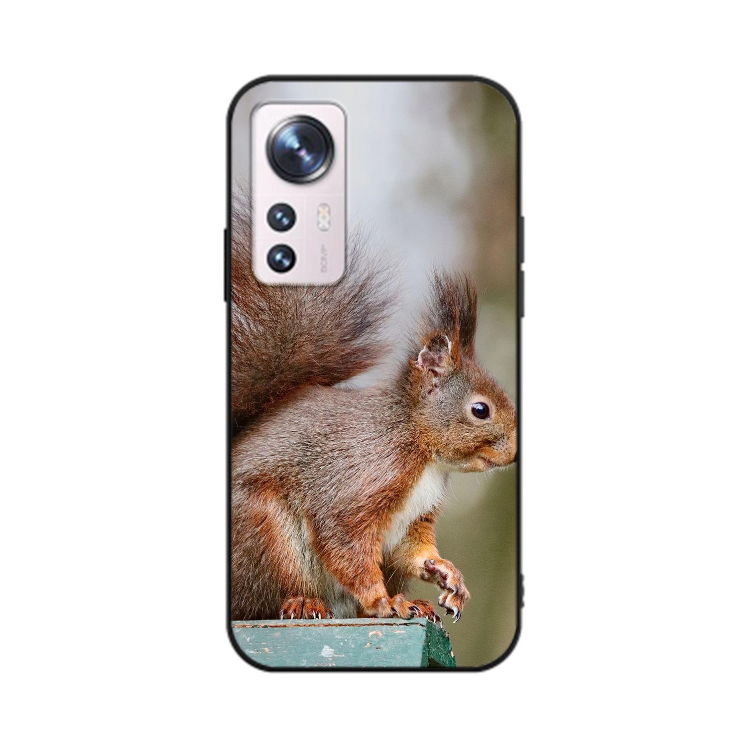 DESIGN Pro, 12 KÖNIG Xiaomi, Eichhörnchen Case, Backcover,