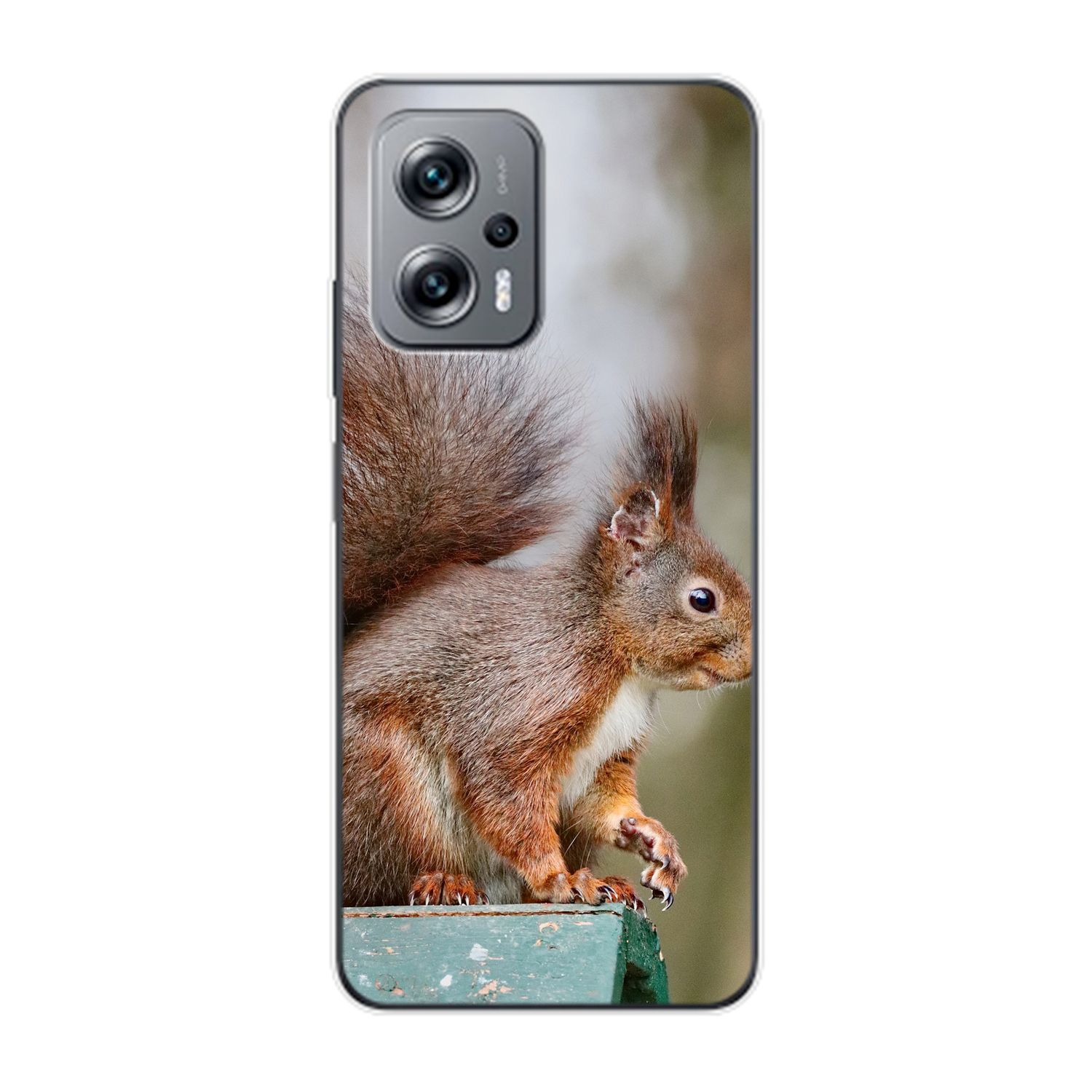 KÖNIG DESIGN Xiaomi, Backcover, Redmi Case, Eichhörnchen K50i