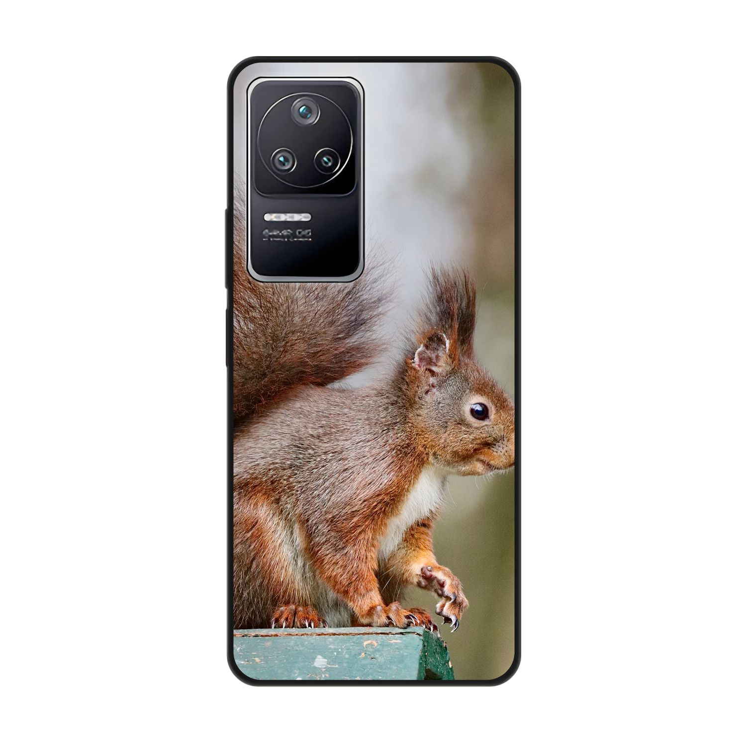 Eichhörnchen DESIGN F4, Backcover, Case, Xiaomi, Poco KÖNIG