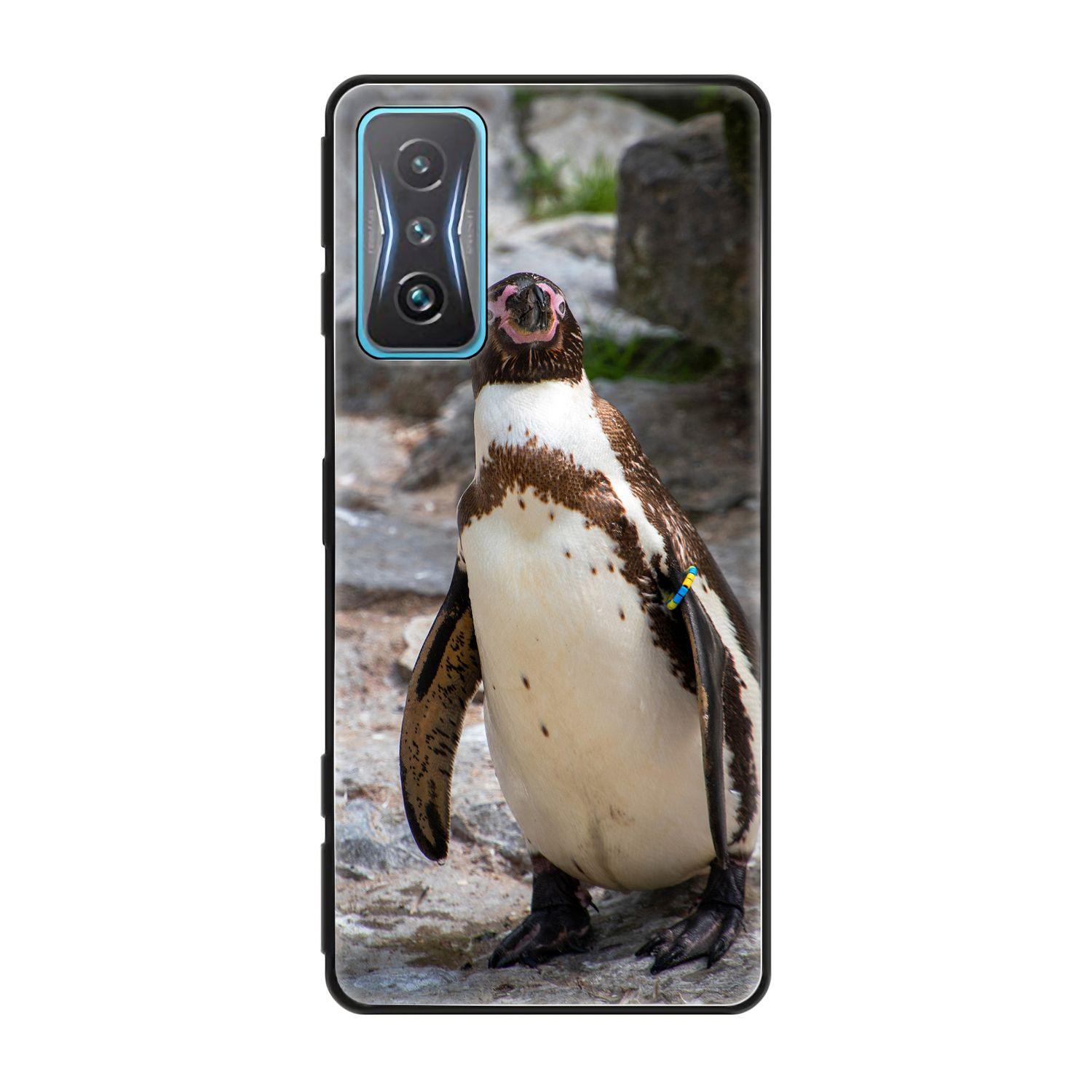 Xiaomi, DESIGN Pinguin KÖNIG Redmi K50 Case, Gaming, Backcover,