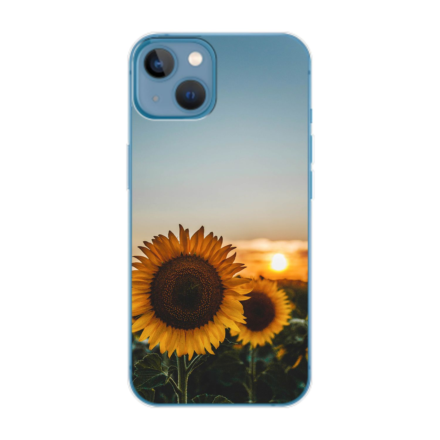 Backcover, Plus, Apple, Case, 14 Sonnenblumen iPhone DESIGN KÖNIG