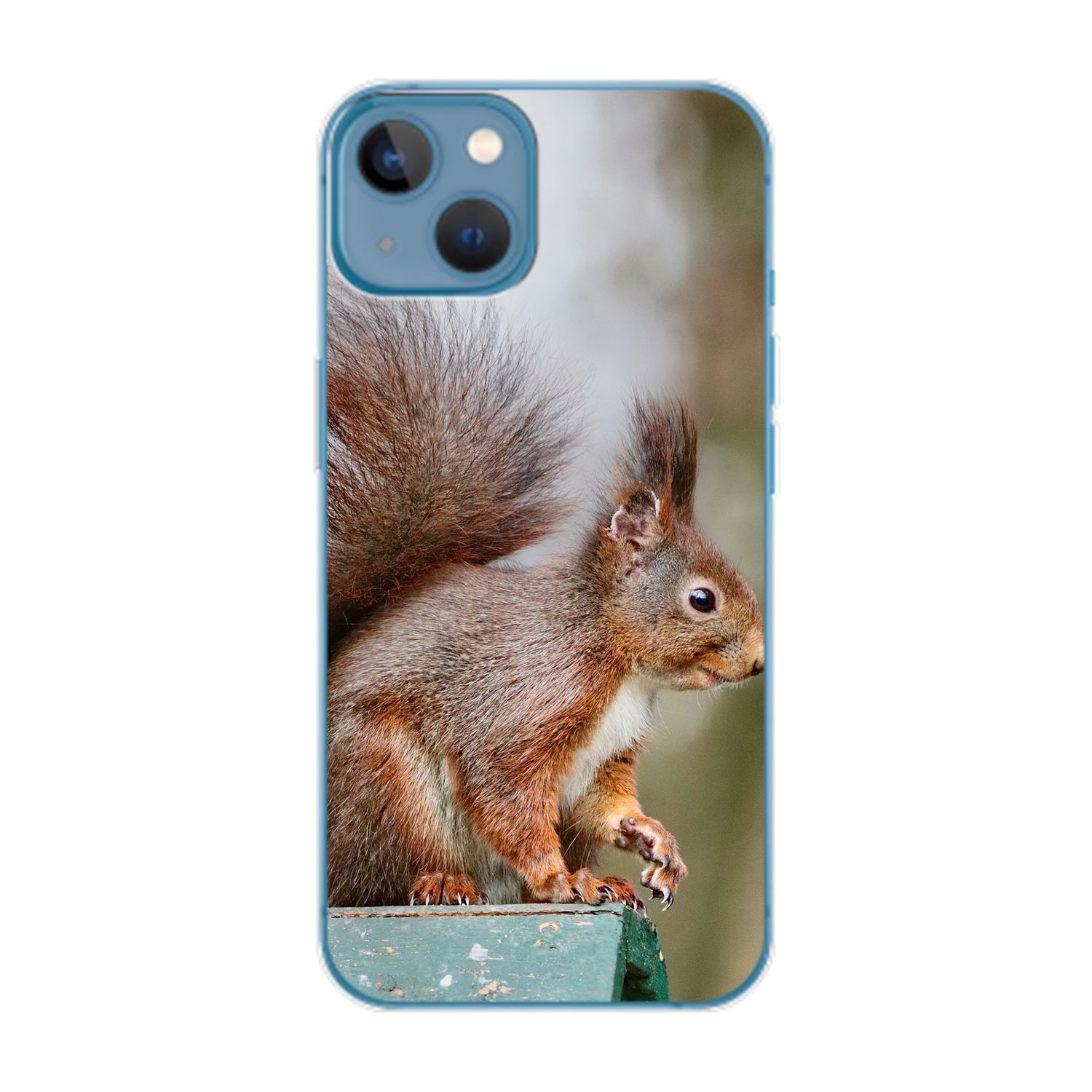 KÖNIG DESIGN Case, Apple, Plus, Eichhörnchen iPhone Backcover, 14