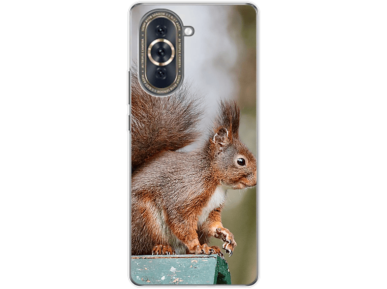 Eichhörnchen Case, Backcover, 10, nova DESIGN KÖNIG Huawei,