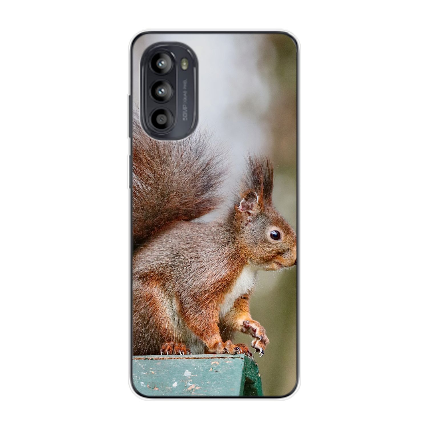 Eichhörnchen KÖNIG Moto Case, G62, DESIGN Motorola, Backcover,