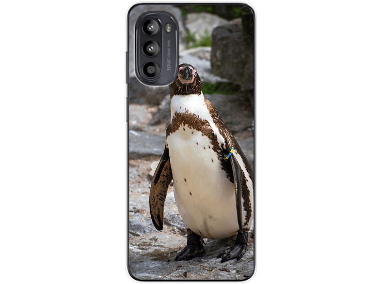 KÖNIG DESIGN Case, Backcover, Motorola, Moto G62, Pinguin