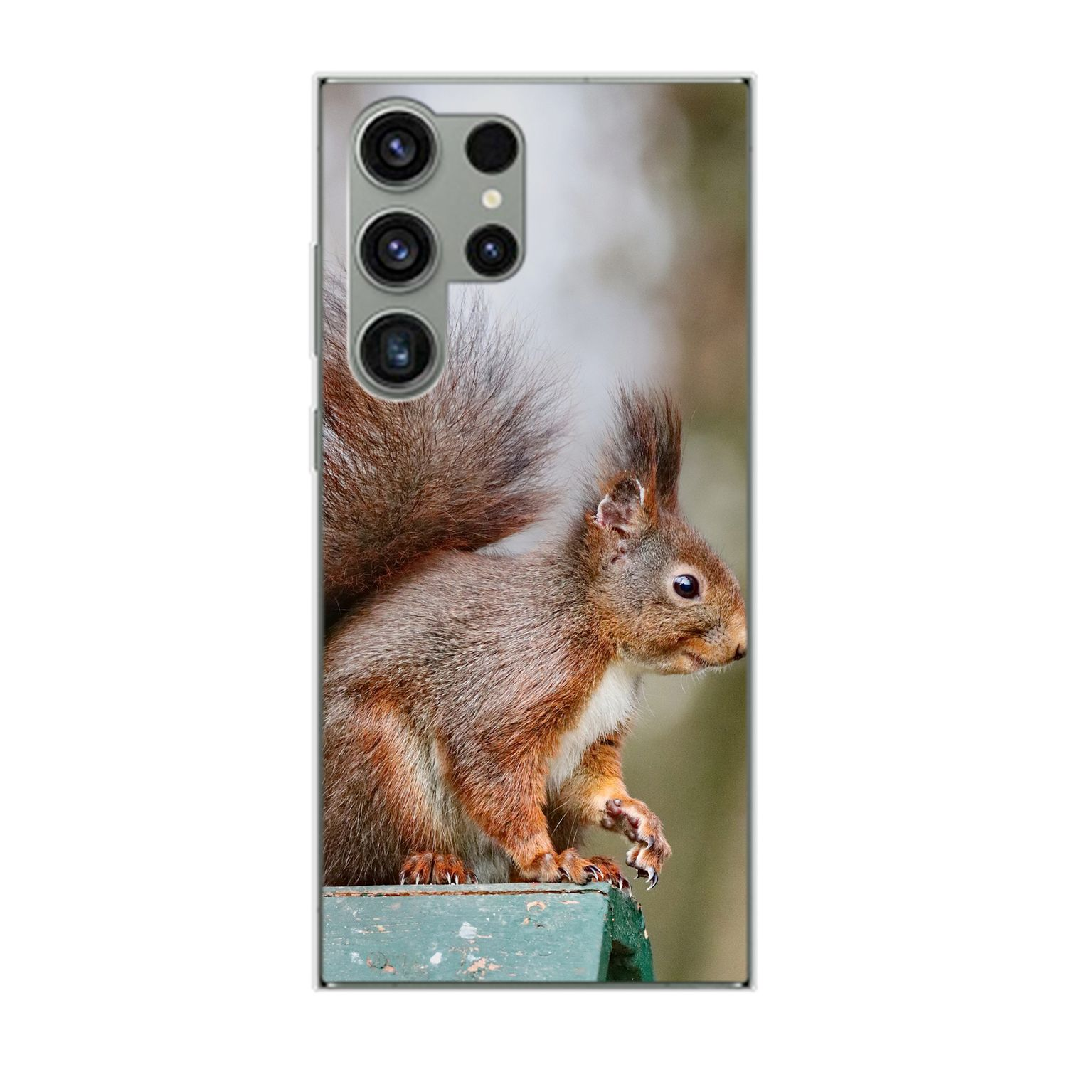 Eichhörnchen DESIGN Ultra, S23 Samsung, KÖNIG Case, Backcover, Galaxy