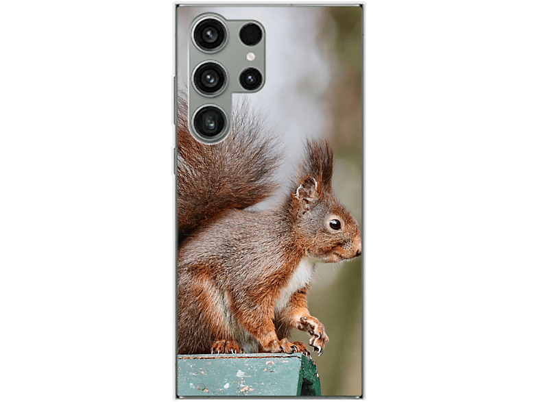 Eichhörnchen DESIGN Ultra, S23 Samsung, KÖNIG Case, Backcover, Galaxy