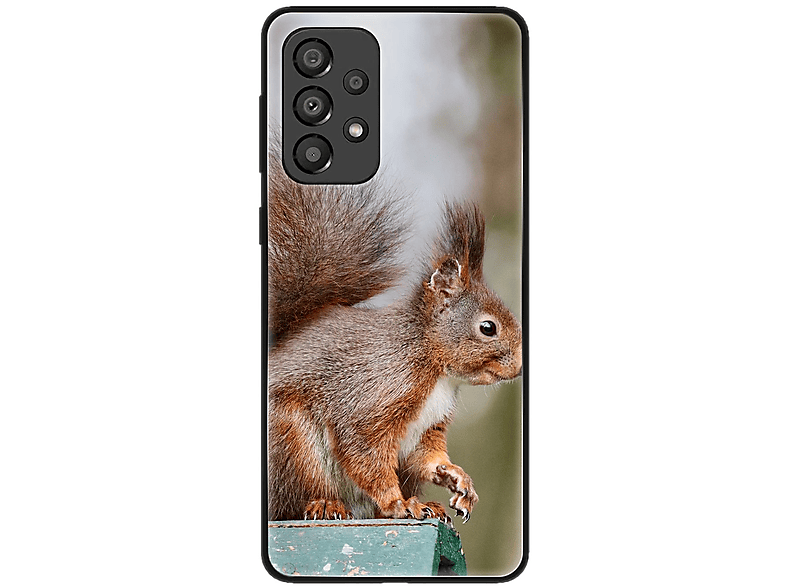 Eichhörnchen DESIGN Galaxy 5G, KÖNIG Backcover, Case, Samsung, A33