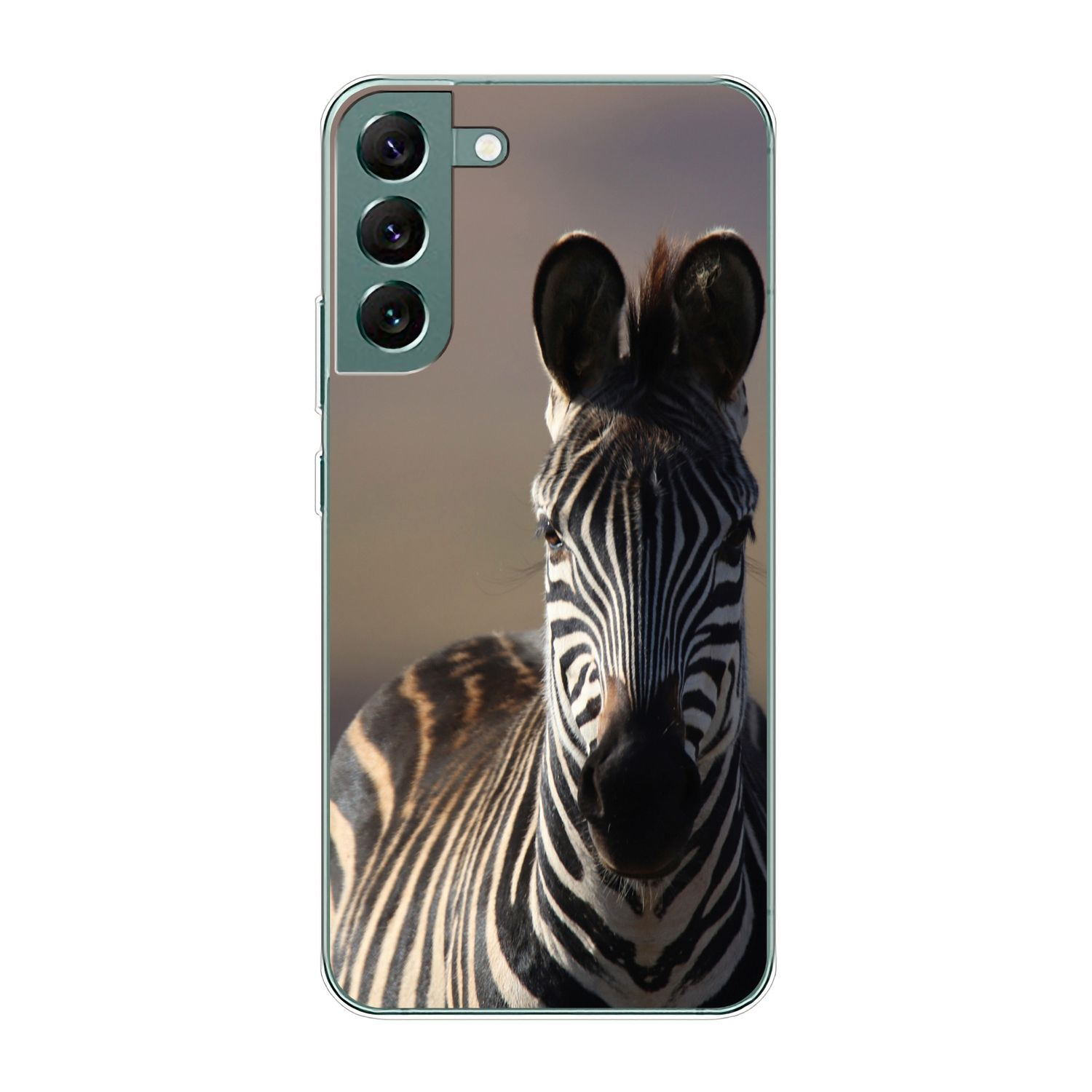 KÖNIG DESIGN Case, Galaxy Plus Backcover, S22 Samsung, 5G, Zebra