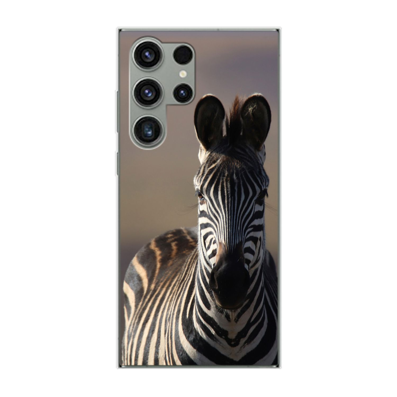 KÖNIG DESIGN Case, Zebra Galaxy Ultra, S23 Samsung, Backcover
