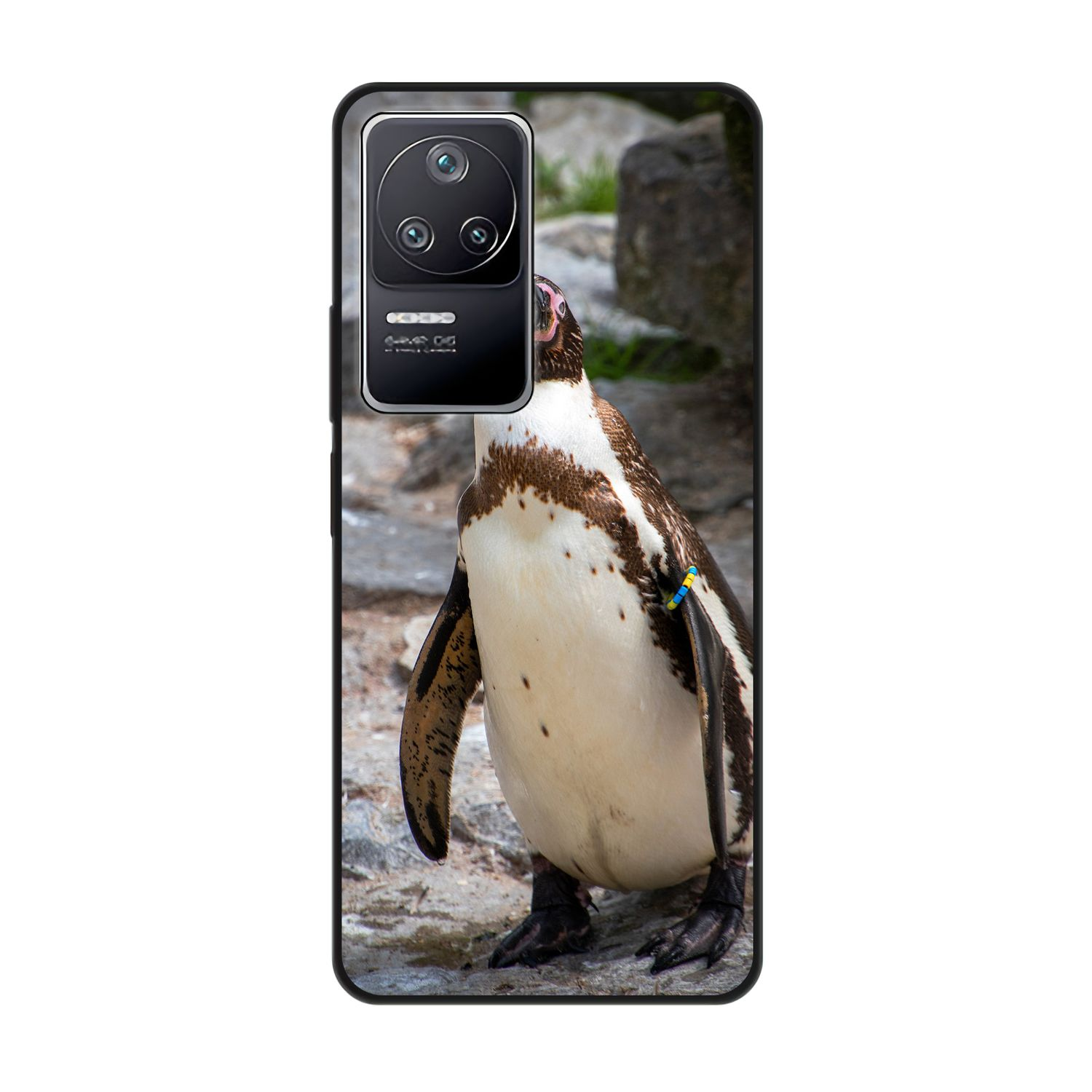 DESIGN F4, Case, Xiaomi, KÖNIG Pinguin Backcover, Poco